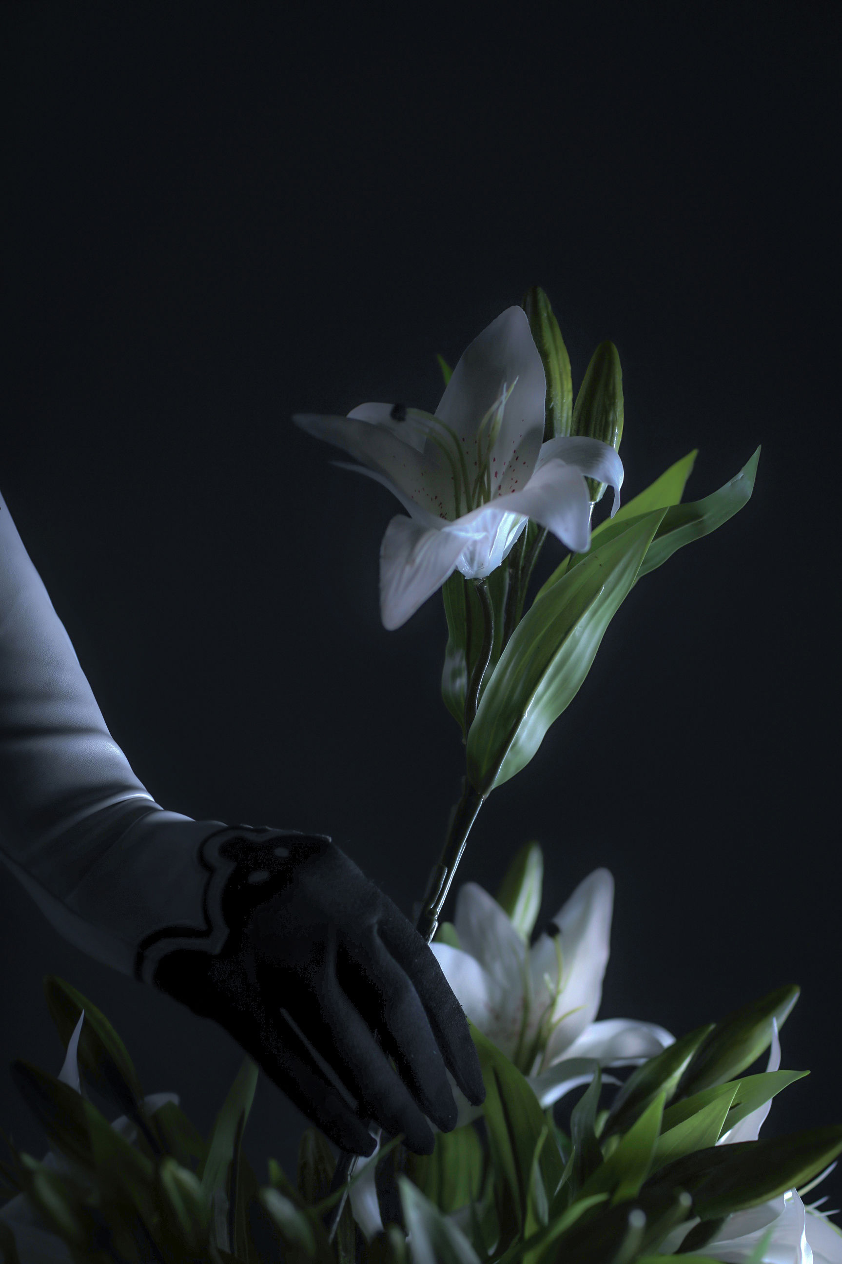 [COS福利] 国外美女SayaTheFox - 2B Floral