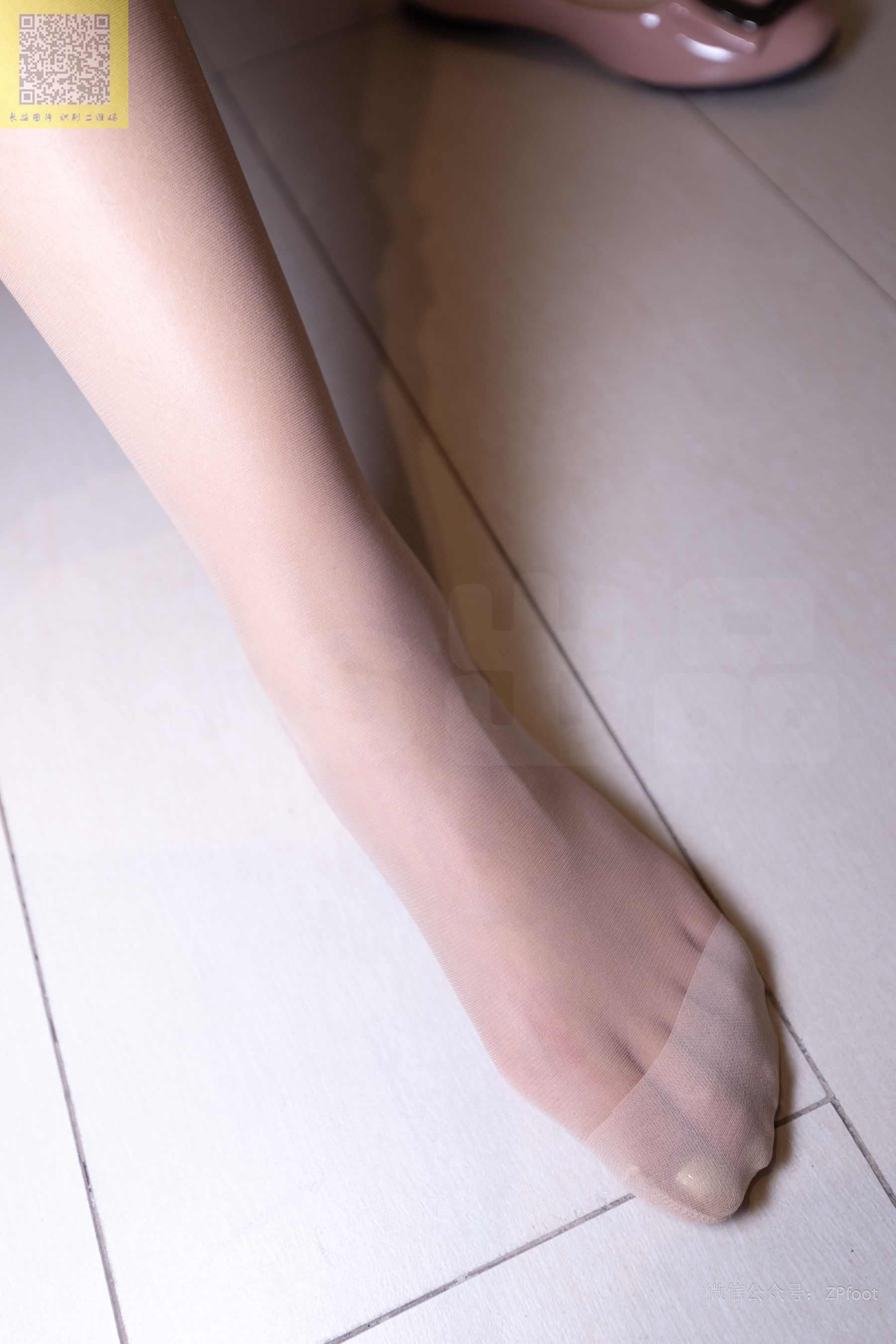 [LSS山茶摄影] NO.292 辉煌的筒袜