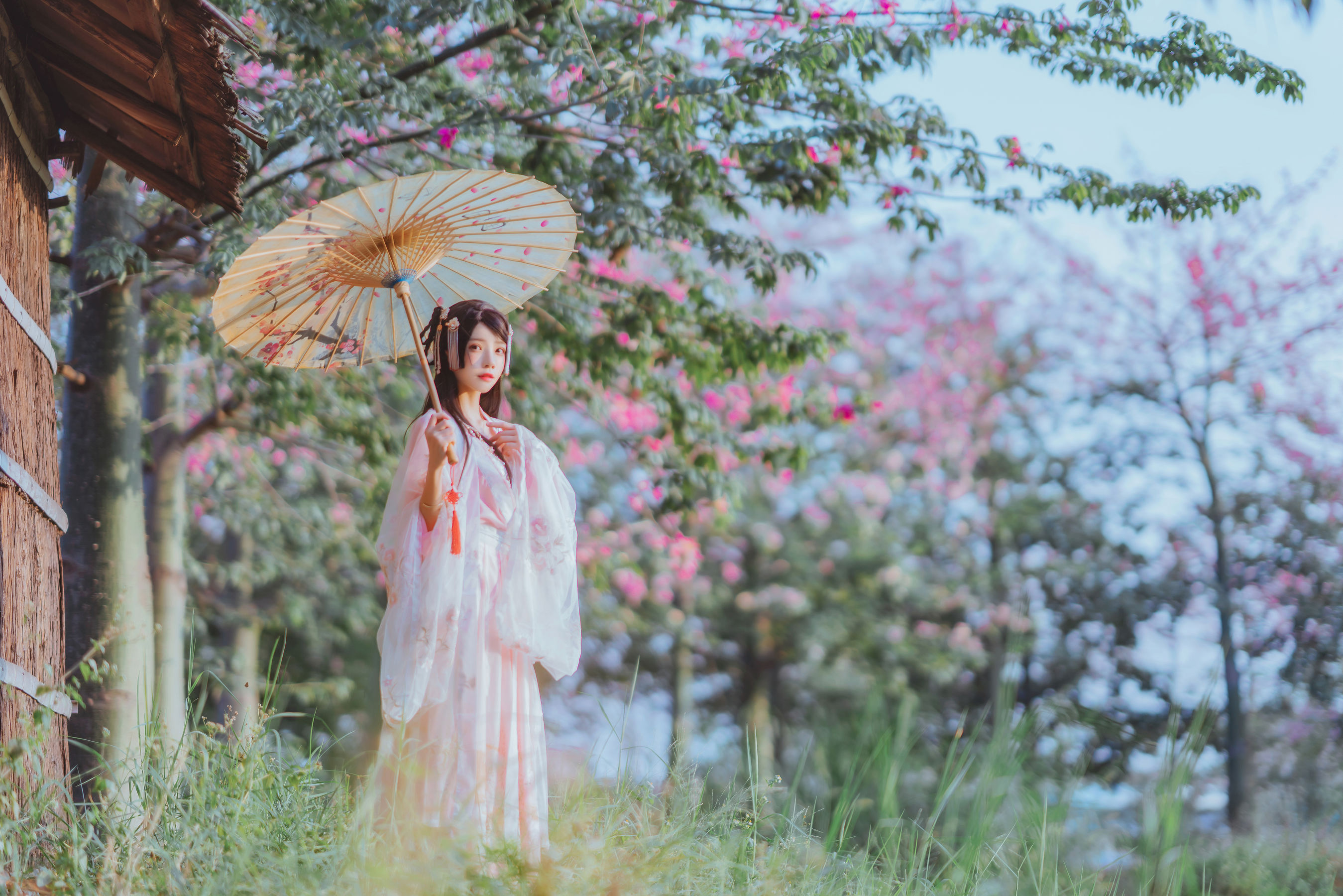 [COS福利] 桜桃喵 - 温柔之汉服桃花