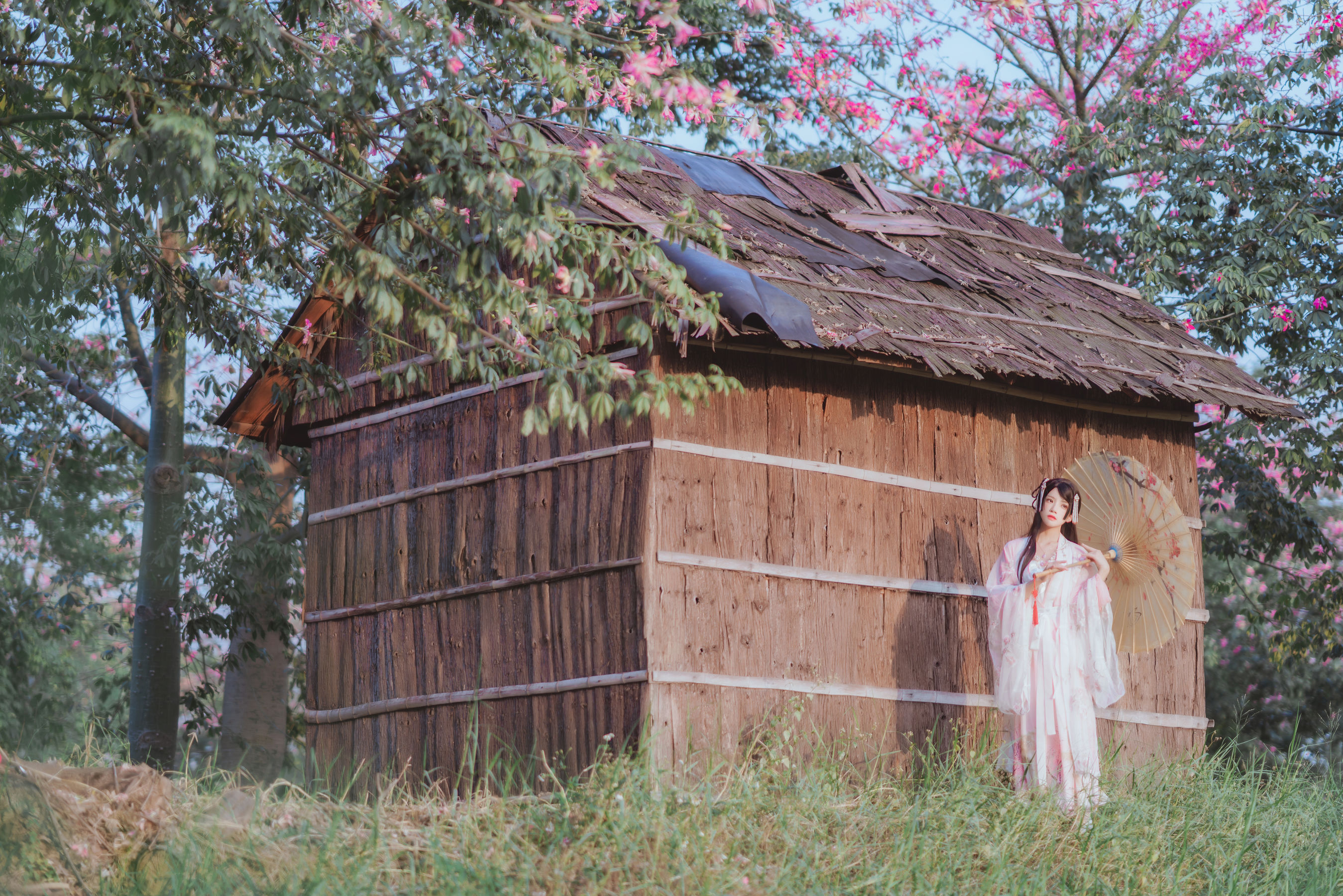 [COS福利] 桜桃喵 - 温柔之汉服桃花