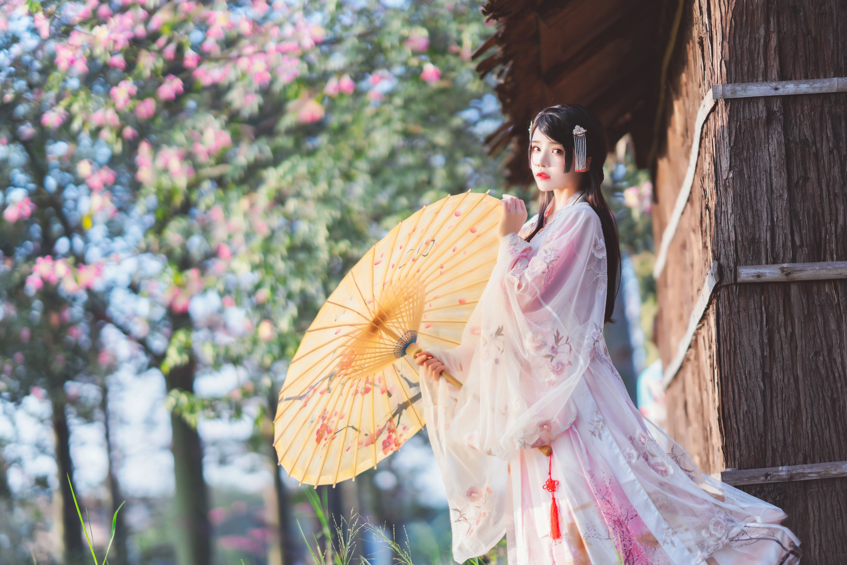 [COS福利] 桜桃喵 - 温柔之汉服桃花