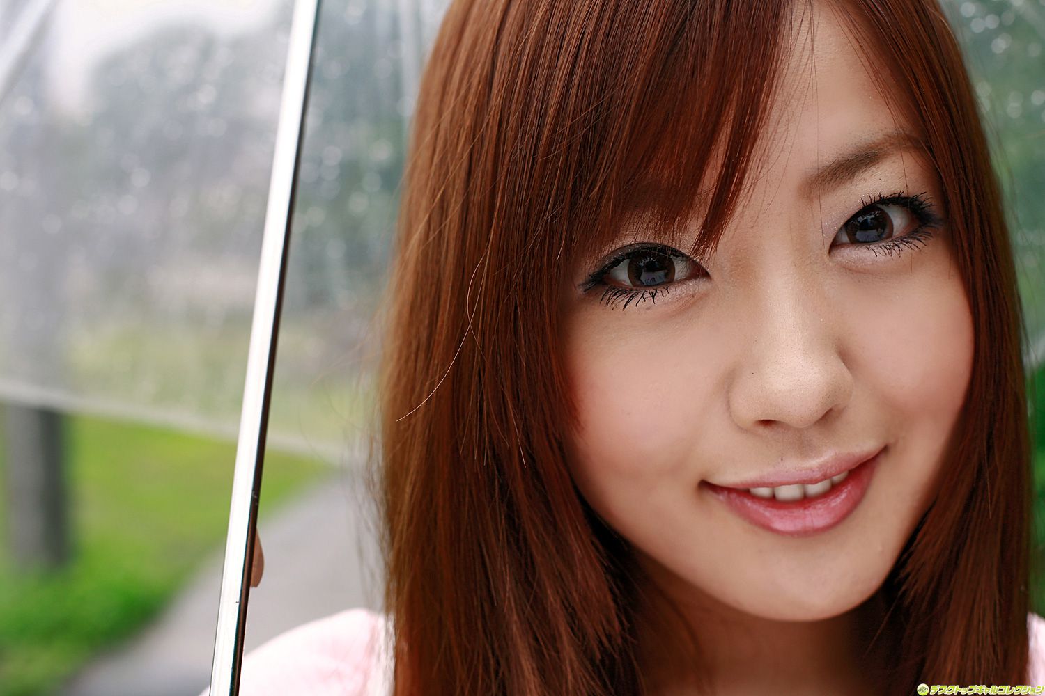 [DGC] NO.809 Miyu Hoshino ほしのみゆ/星野美优 Adult Idols
