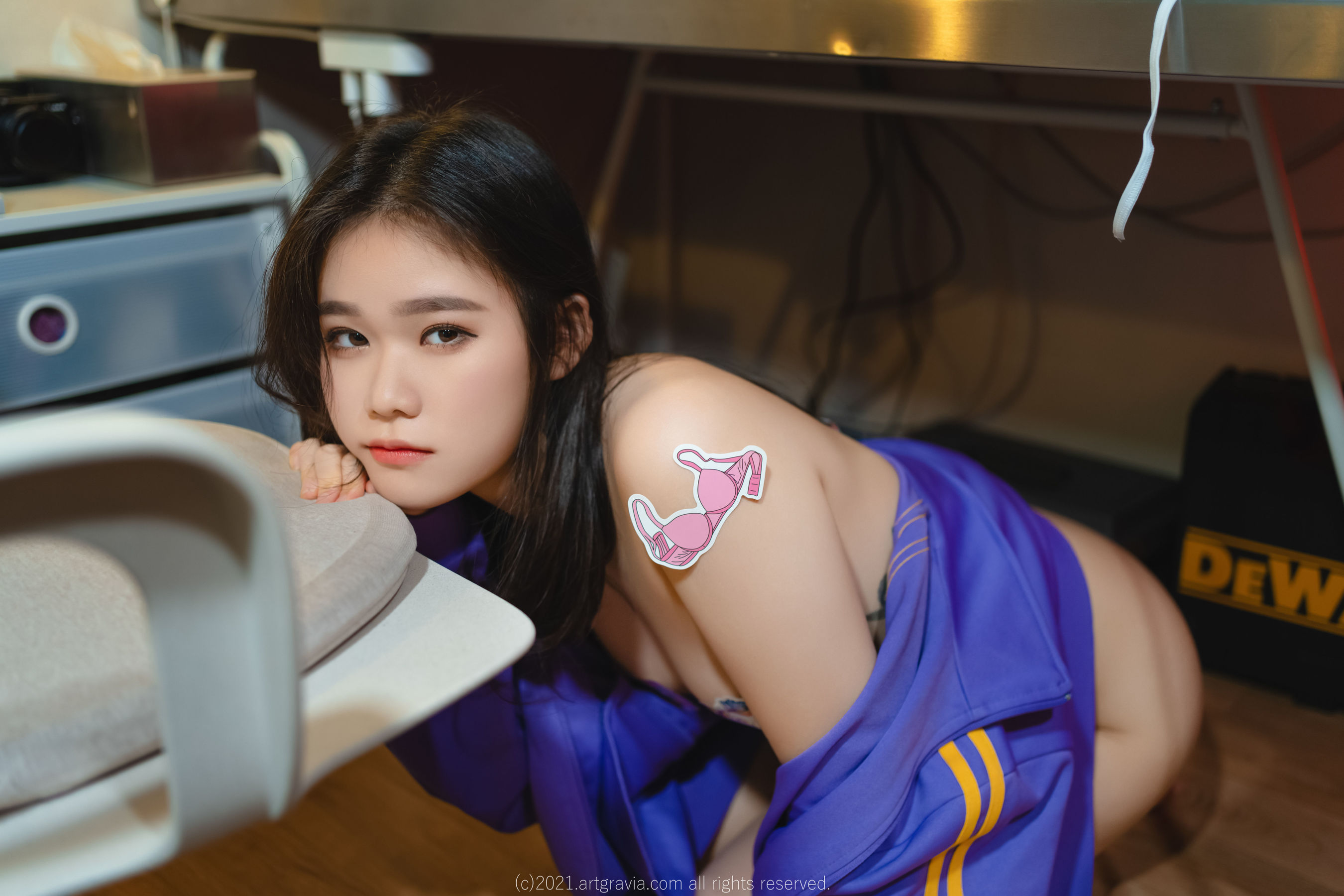 [ARTGRAVIA] VOL.276 Sira 内衣诱惑套图