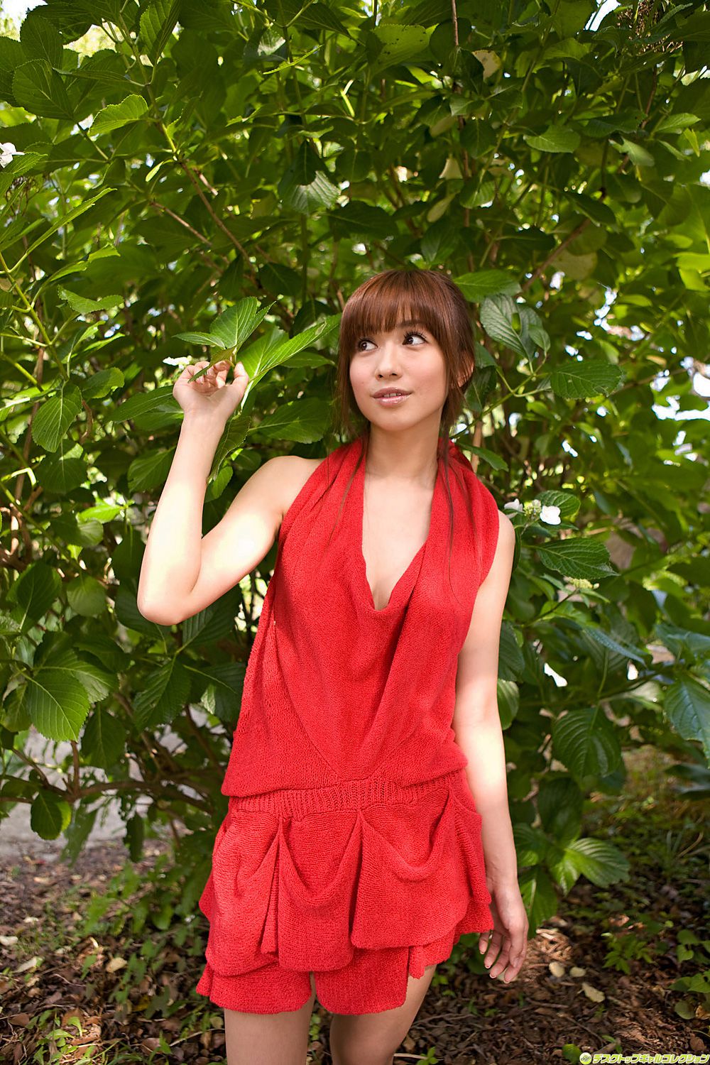 [DGC] NO.814 Maomi Yuki 優木まおみ/优木真央美