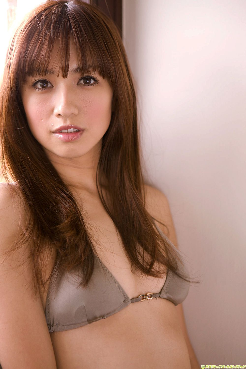 [DGC] NO.814 Maomi Yuki 優木まおみ/优木真央美