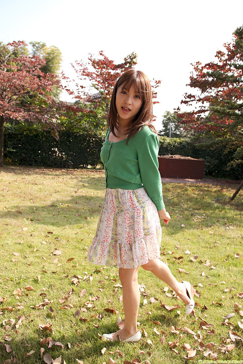 [DGC] NO.817 Mihiro みひろ/朝美惠香 Adult Idols