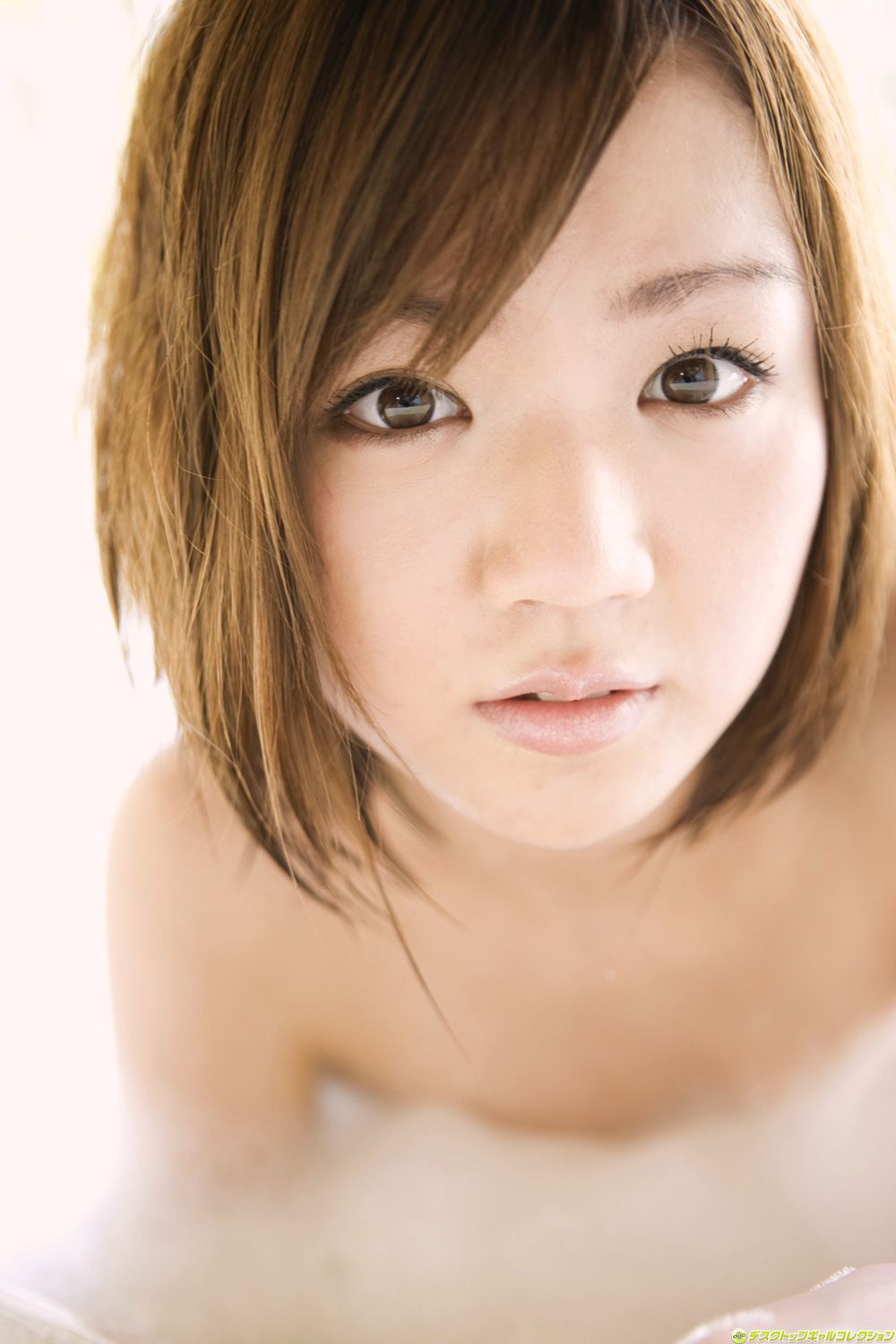 [DGC] NO.842 Asami Tani 谷麻紗美