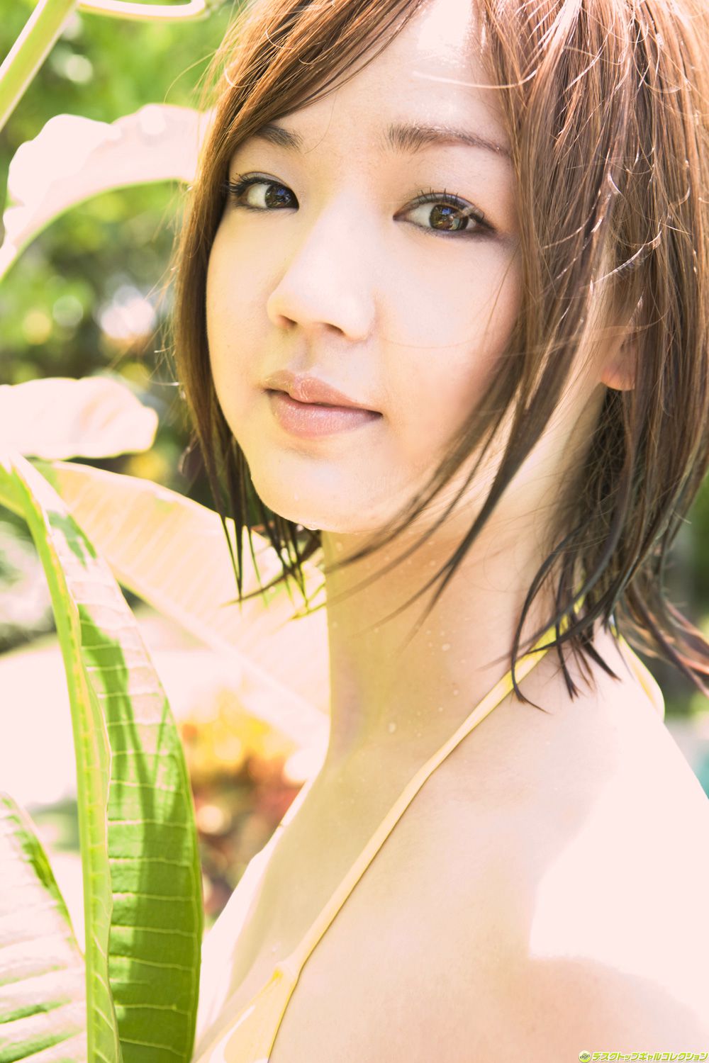 [DGC] NO.842 Asami Tani 谷麻紗美