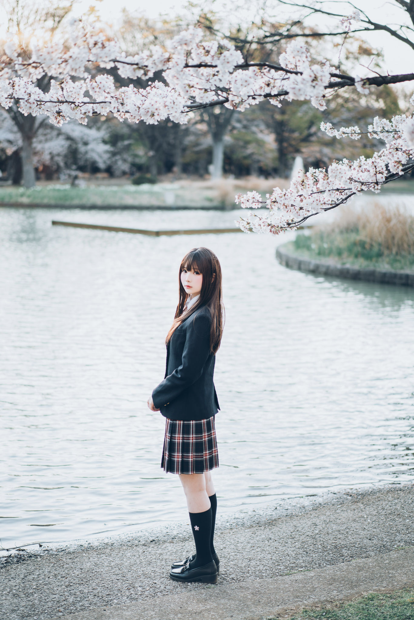 [网红COSER写真] 微博妹纸霜月shimo - SPRING