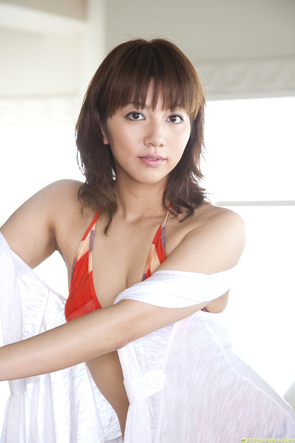 [DGC] NO.860 Marie Kai 甲斐まり恵/甲斐麻理惠