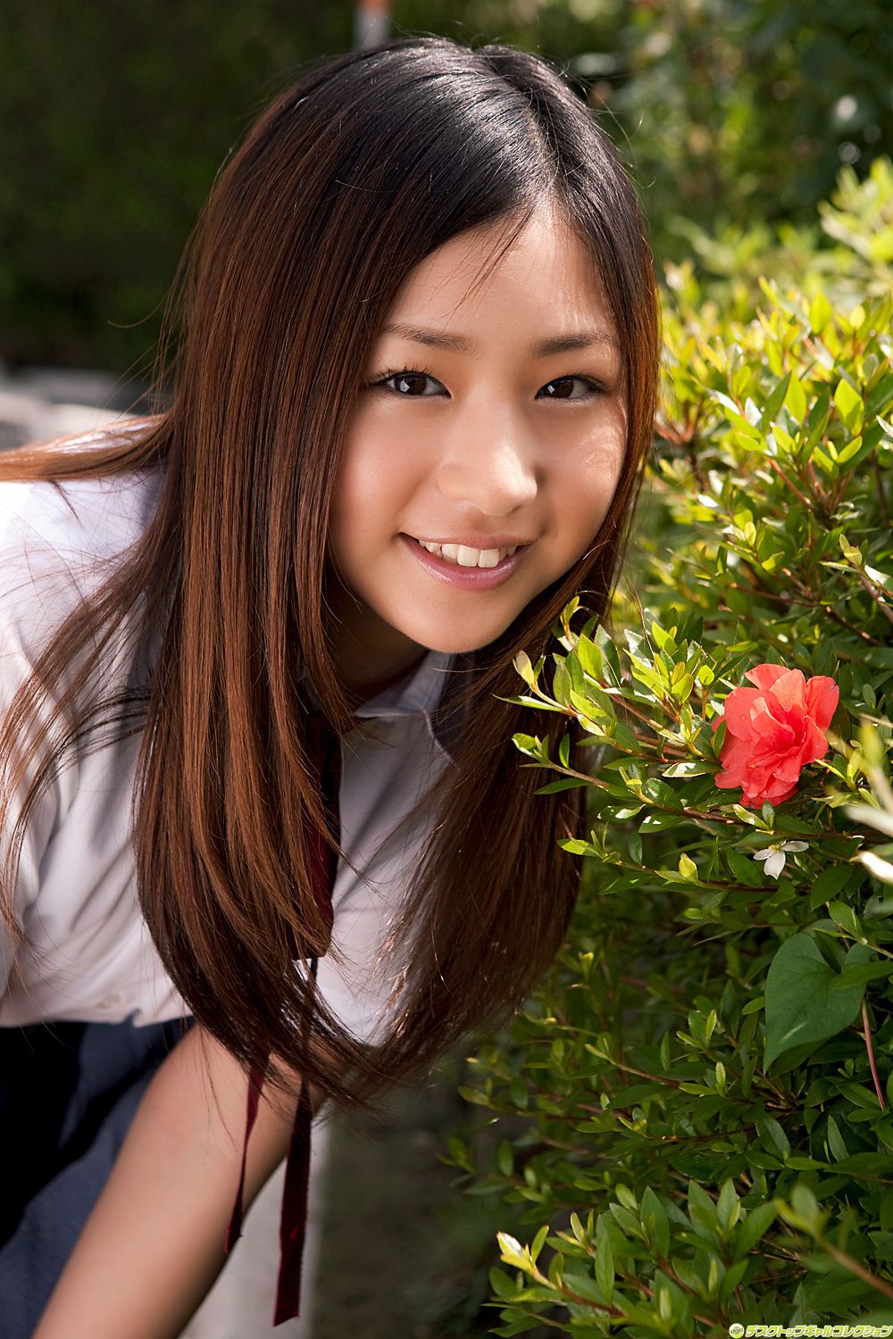 [DGC] NO.862 Ayaka Sayama 佐山彩香