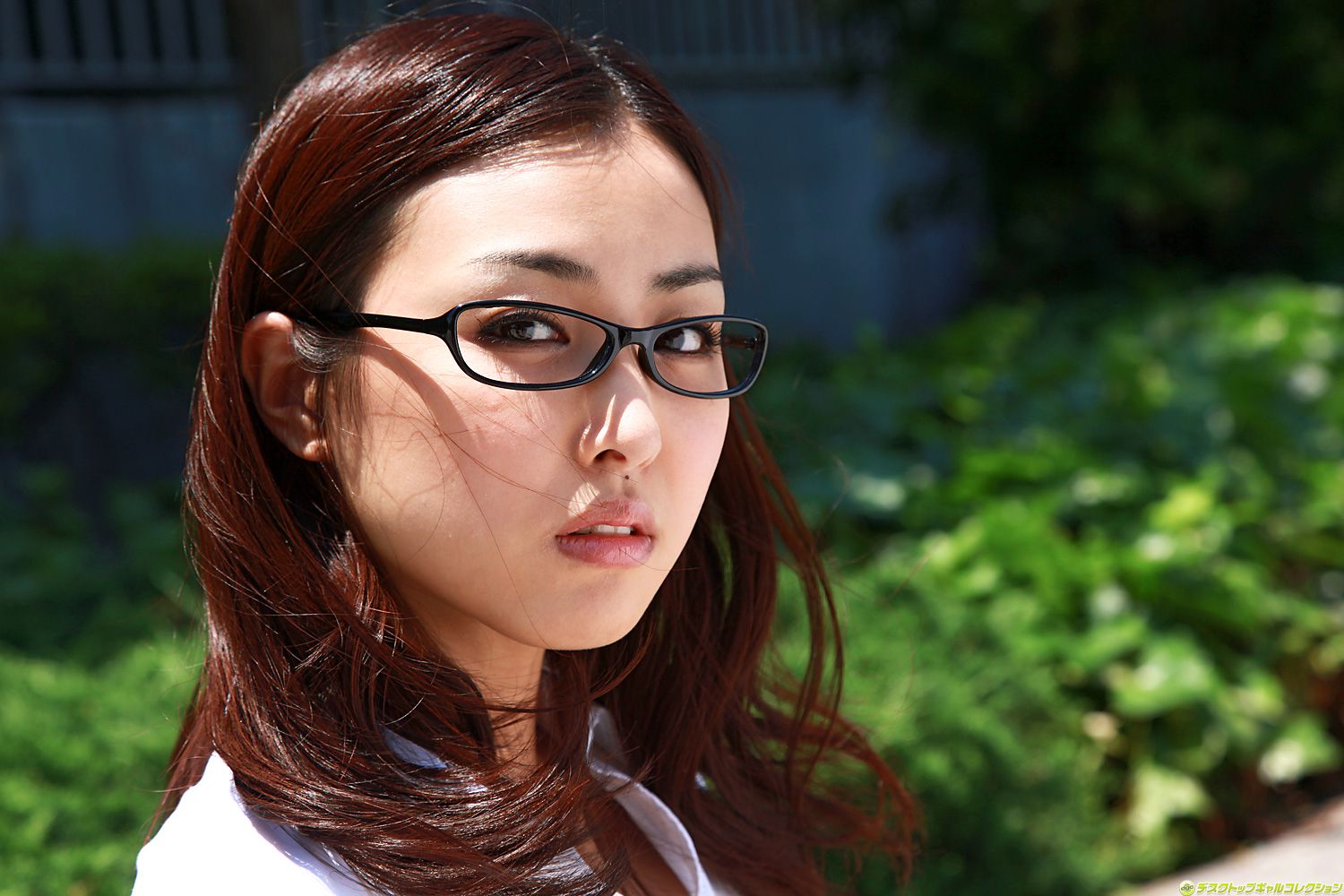 [DGC] NO.879 Minase Yashiro 八代みなせ/八代兼美
