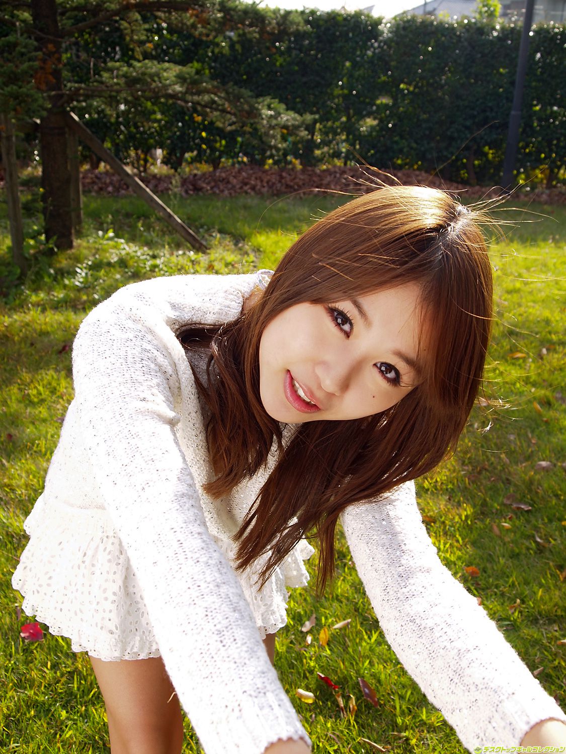 [DGC] NO.915 Mai Nishida 西田麻衣 Gravure Idols