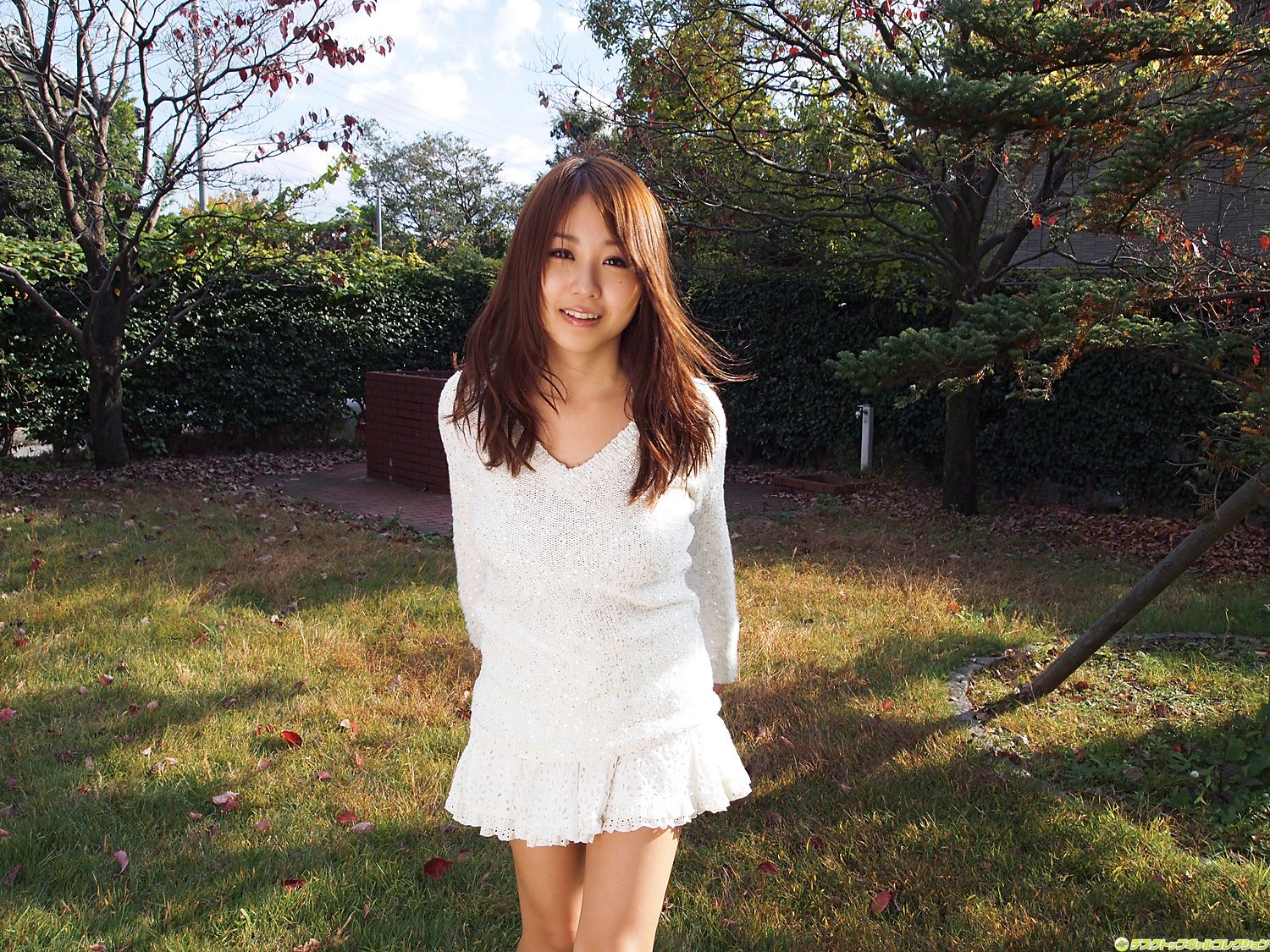 [DGC] NO.915 Mai Nishida 西田麻衣 Gravure Idols