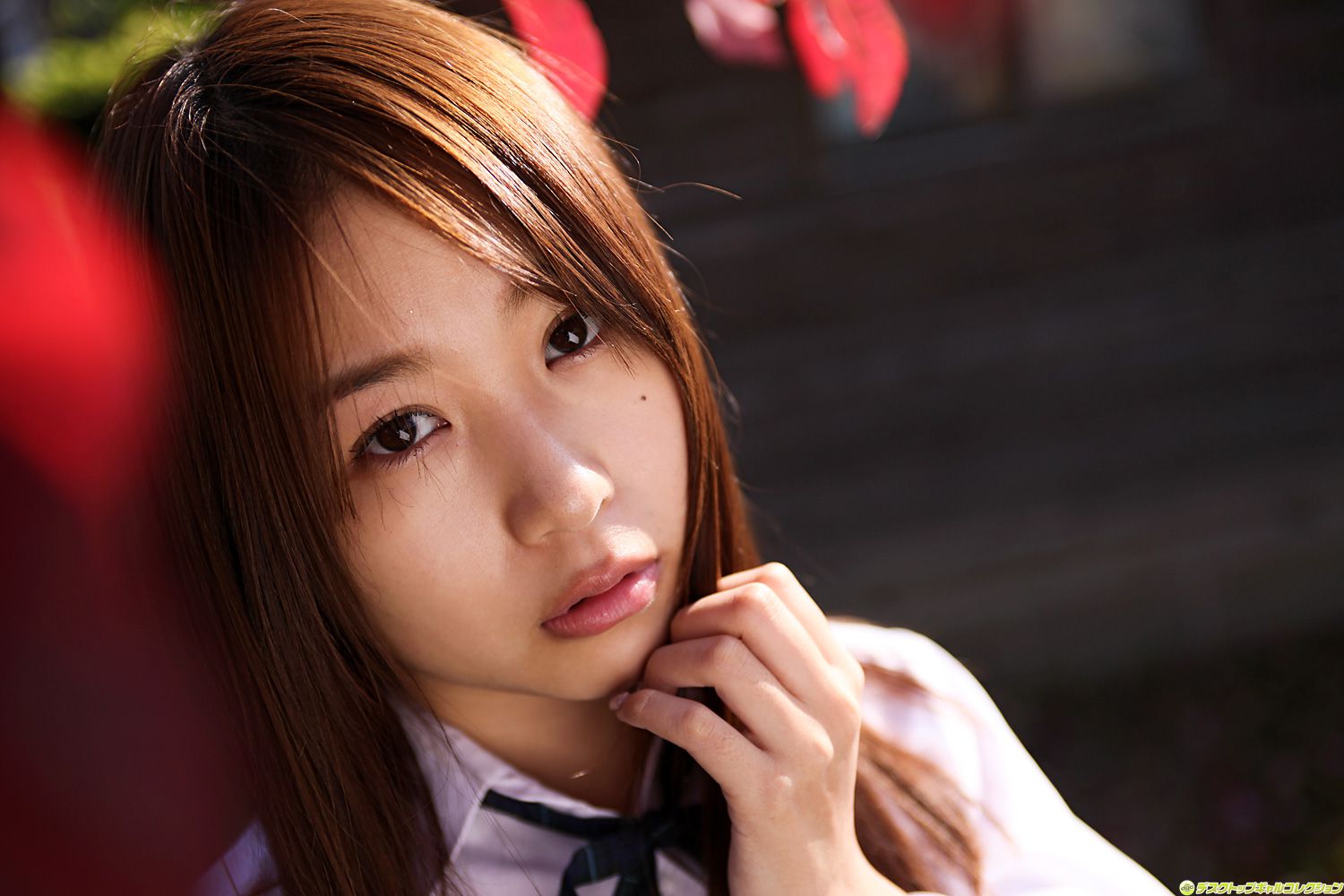 [DGC] NO.915 Mai Nishida 西田麻衣 Gravure Idols