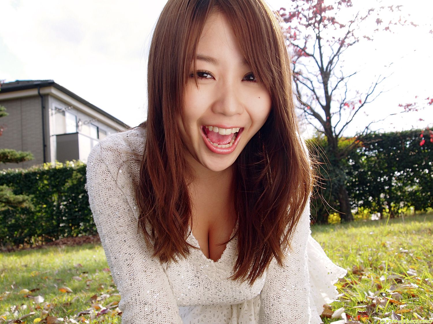 [DGC] NO.915 Mai Nishida 西田麻衣 Gravure Idols