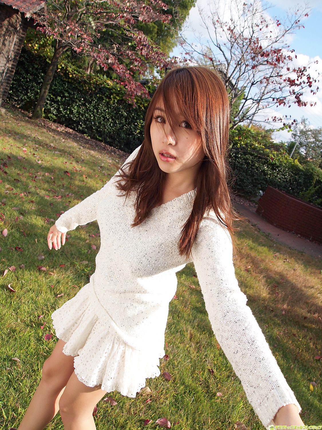 [DGC] NO.915 Mai Nishida 西田麻衣 Gravure Idols