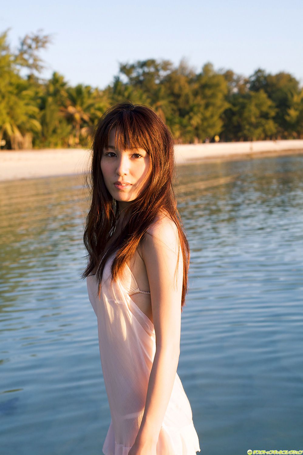 [DGC] NO.916 Minami Matsumaka 松中みなみ/松中南