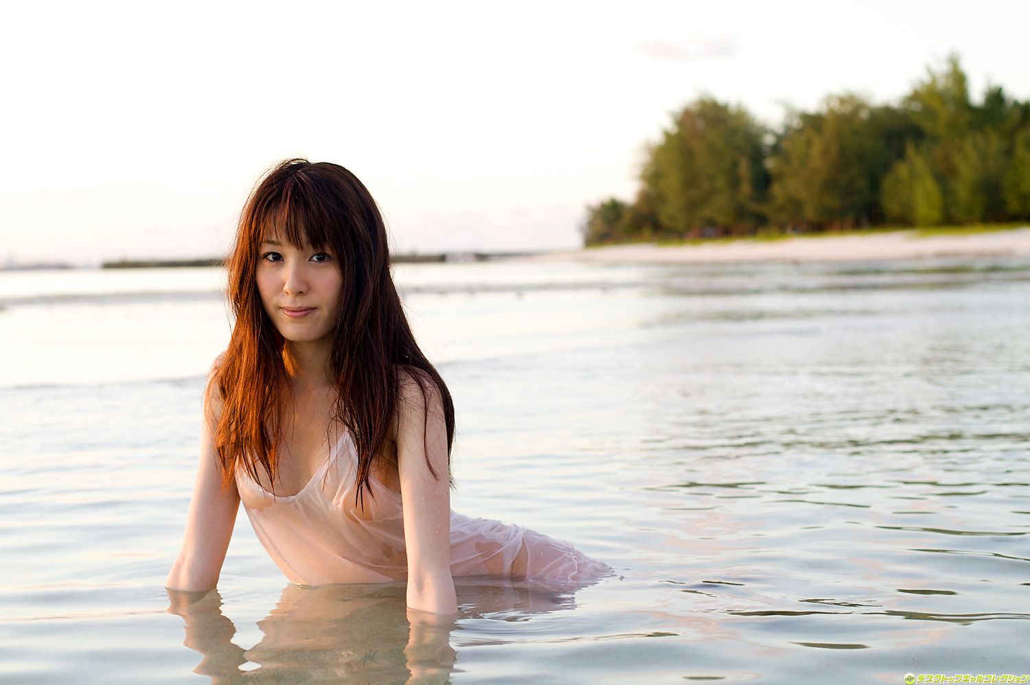 [DGC] NO.916 Minami Matsumaka 松中みなみ/松中南