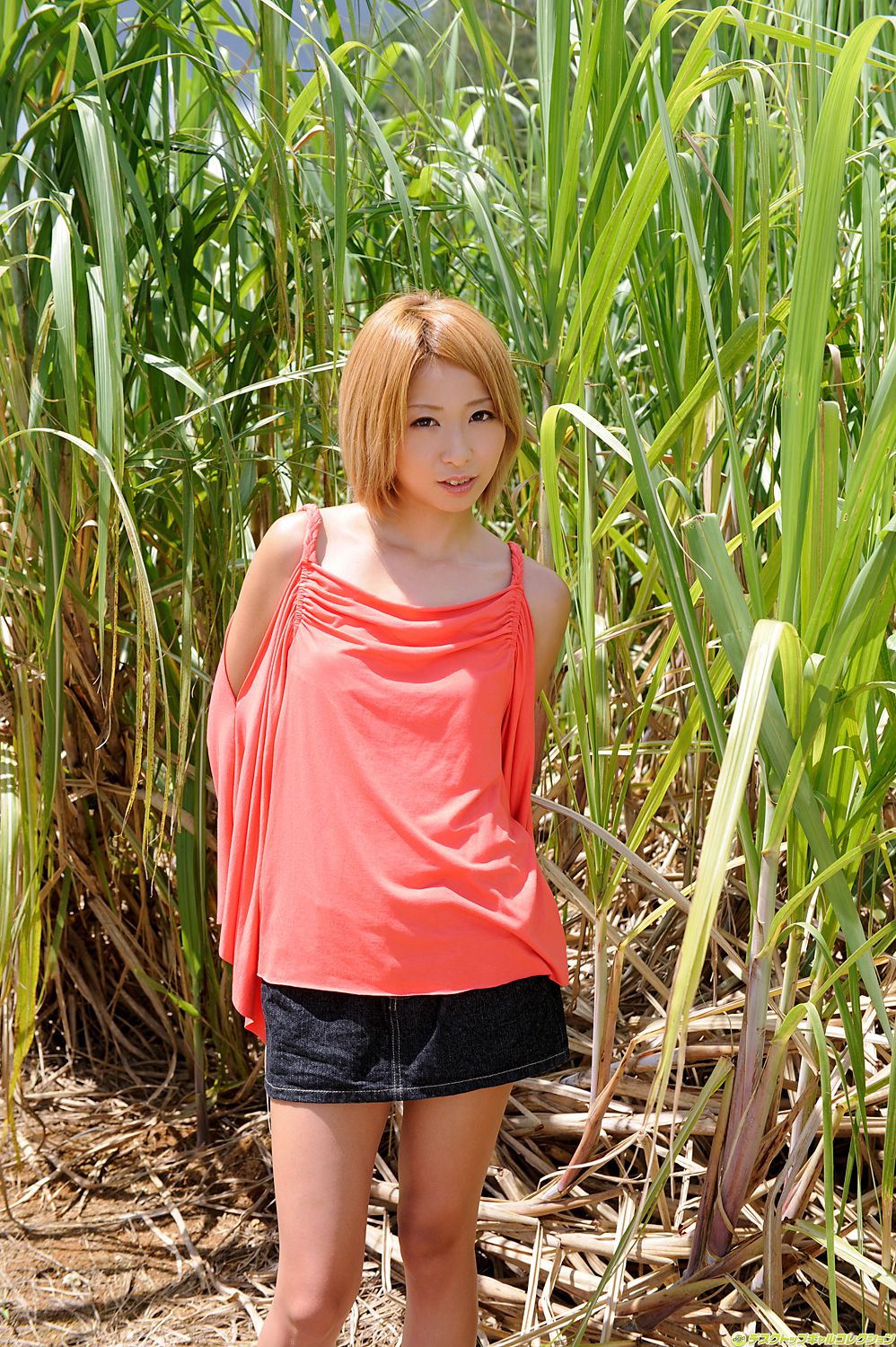 [DGC] NO.938 Otone Nana 乙音奈々/乙音奈奈 Adult Idols