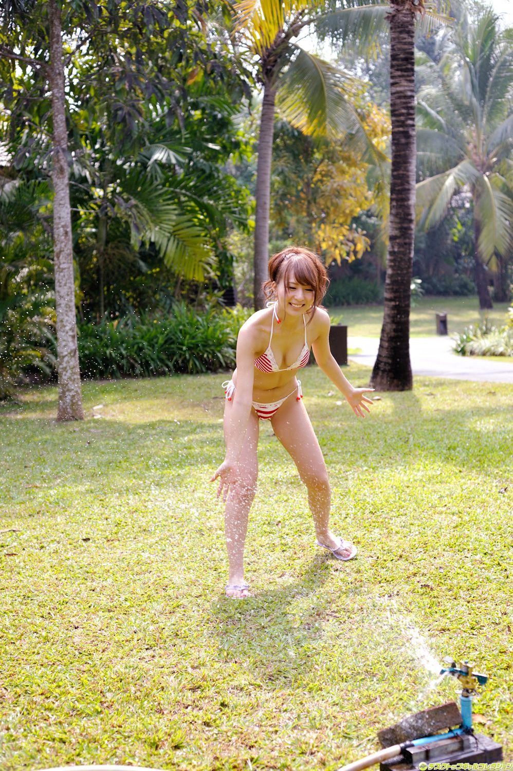 [DGC] NO.946 Jessica Kizaki 希崎ジェシカ/希崎杰西卡 Adult Idols