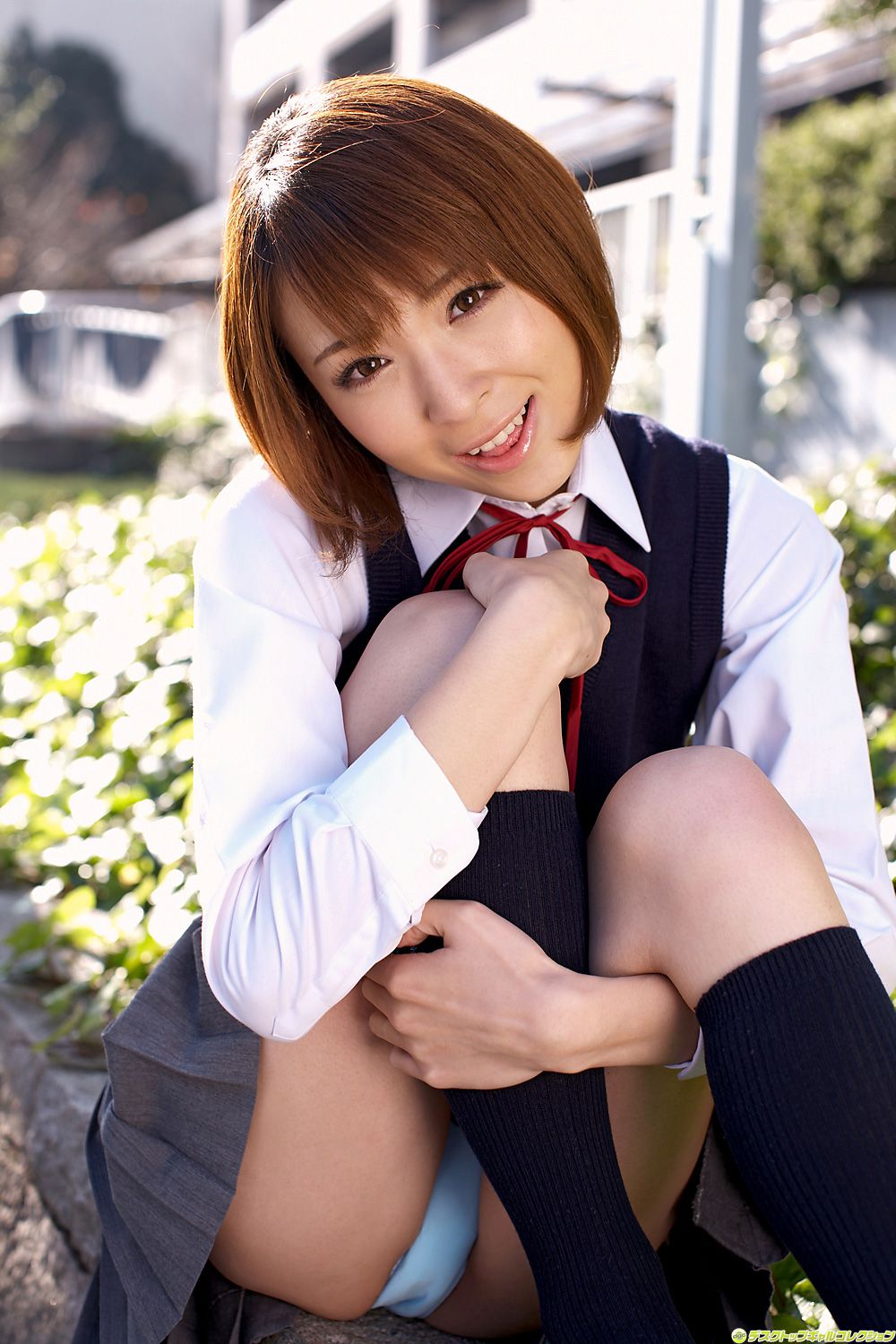 [DGC] NO.952 Hikari Shina 椎名ひかる/羽川流菜 Adult Idols