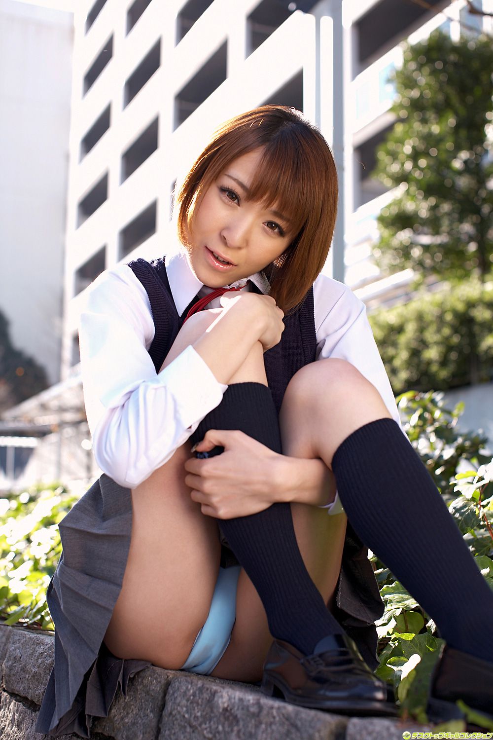 [DGC] NO.952 Hikari Shina 椎名ひかる/羽川流菜 Adult Idols
