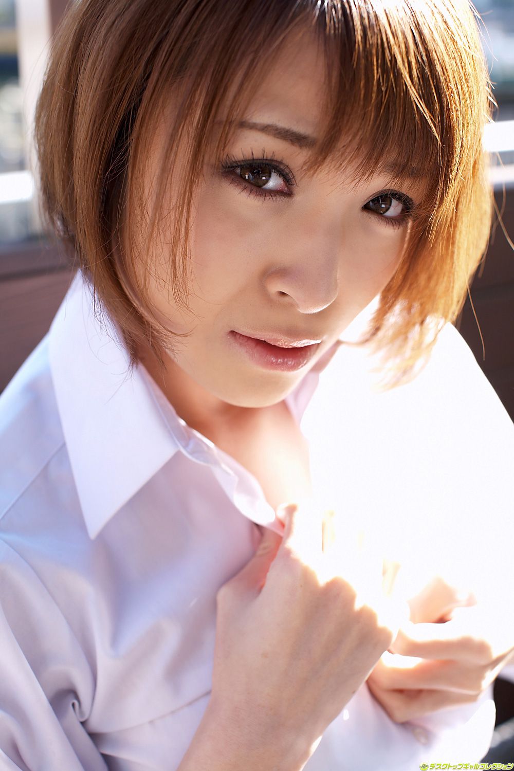 [DGC] NO.952 Hikari Shina 椎名ひかる/羽川流菜 Adult Idols