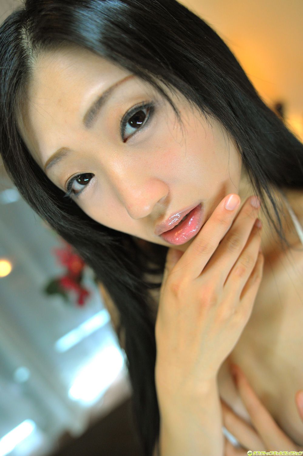 [DGC] NO.965 Dan Mitsu 壇蜜/齐藤支静加 Gravure Idols