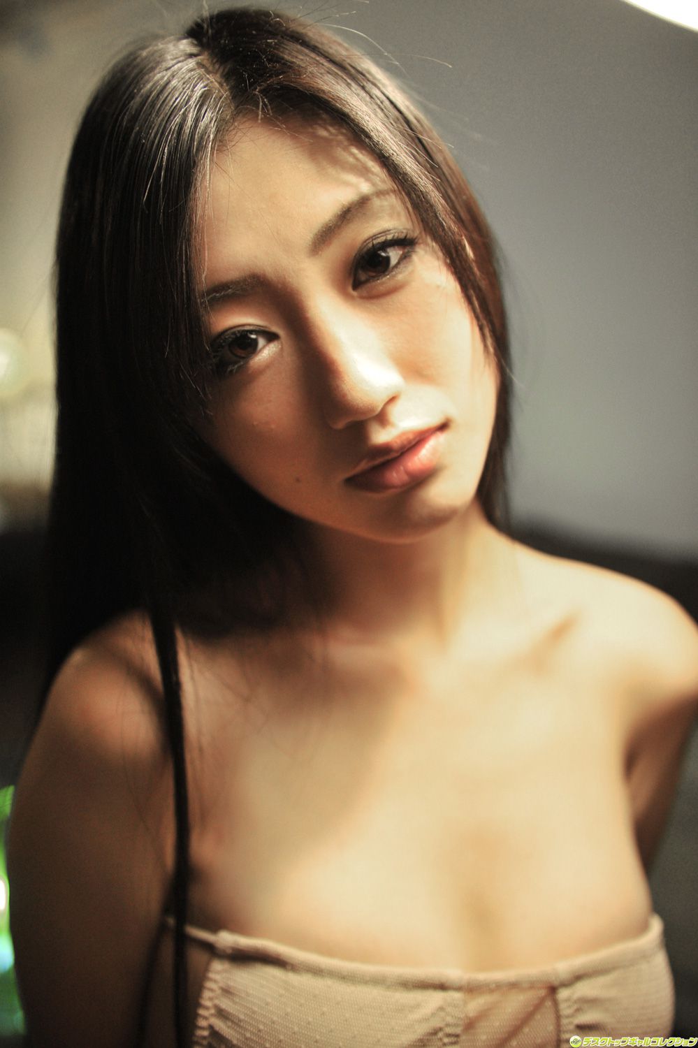 [DGC] NO.965 Dan Mitsu 壇蜜/齐藤支静加 Gravure Idols