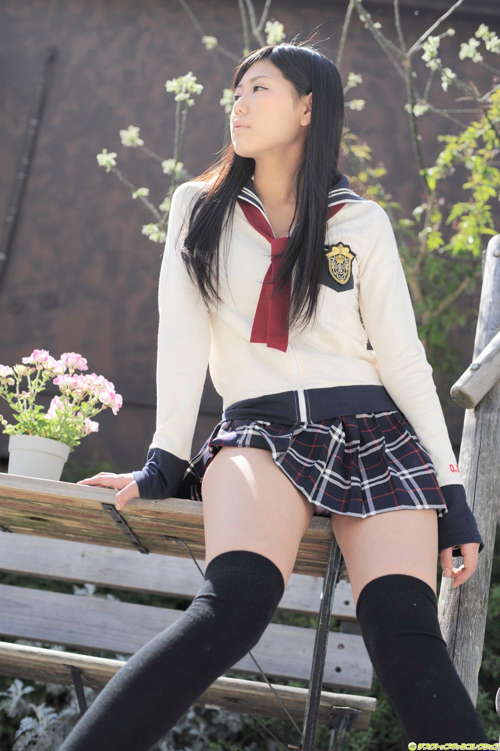 [DGC] NO.969 Saemi Shinohara 篠原冴美/さみぃー 制服美少女天国