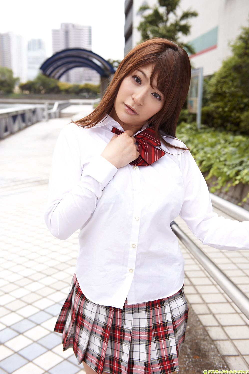 [DGC] NO.974 Meguri めぐり/藤浦惠 Adult Idols