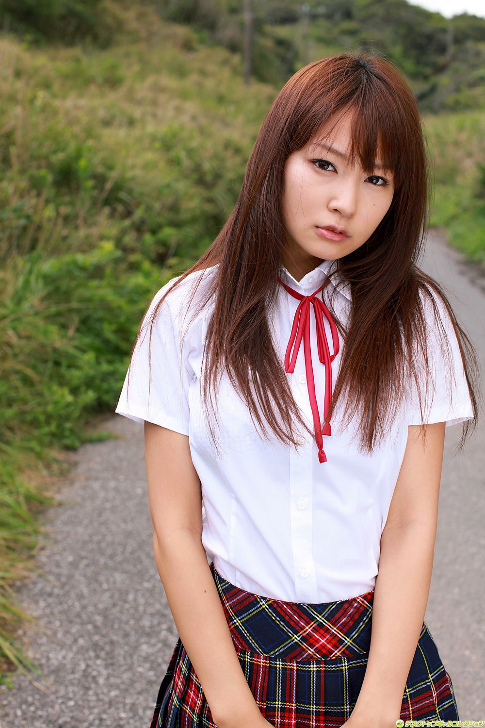 [DGC] NO.993 Misaki Nito 仁藤美咲/仁藤みさき Gravure Idols
