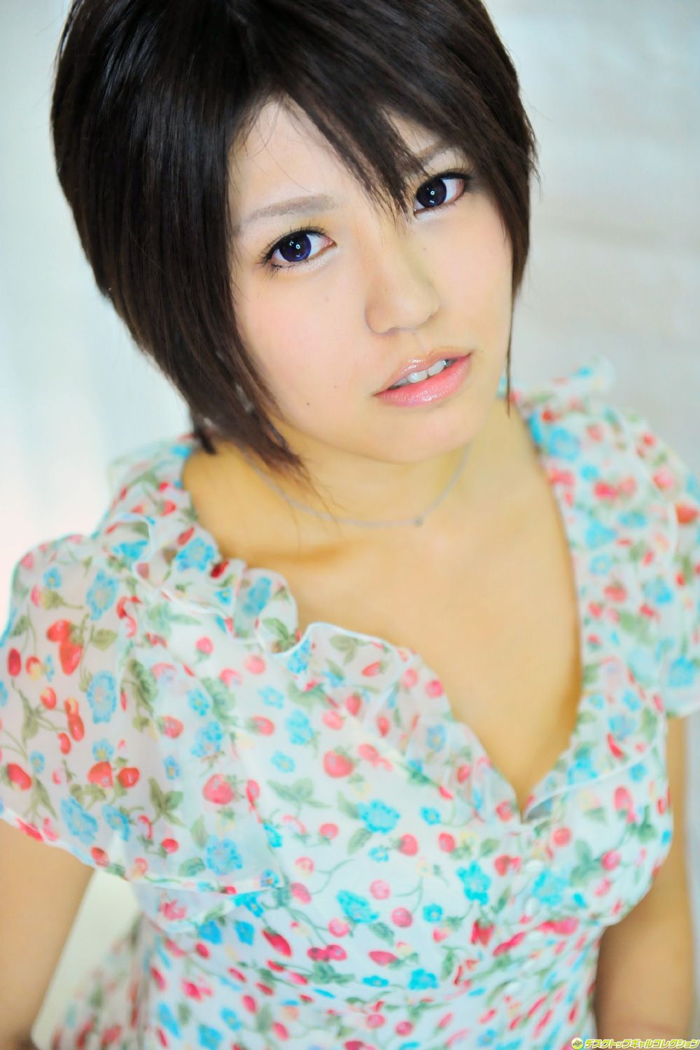 [DGC] NO.1008 Rei Kawakami 川上れい