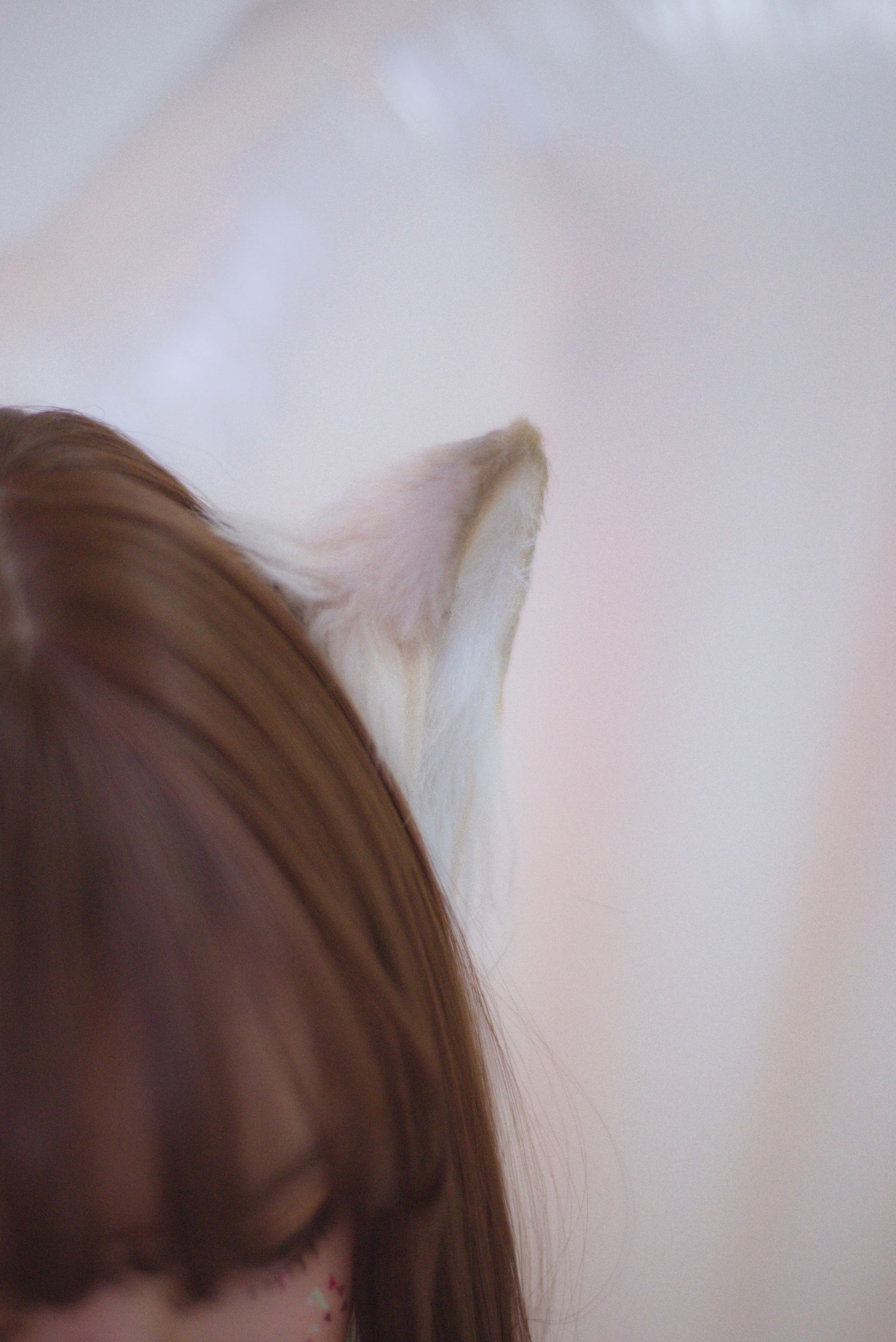 [福利COS] 佳奈喵 - 雪夜锦礼