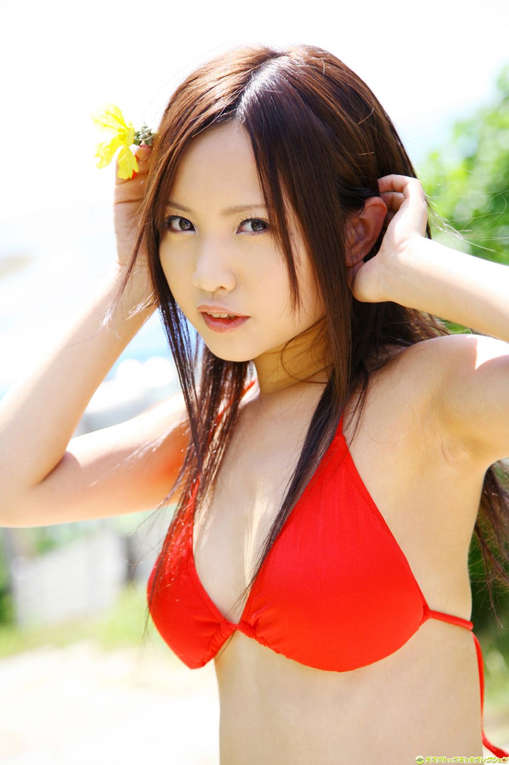[DGC] NO.1115 Yui Satoh 佐藤唯 Gravure Idols