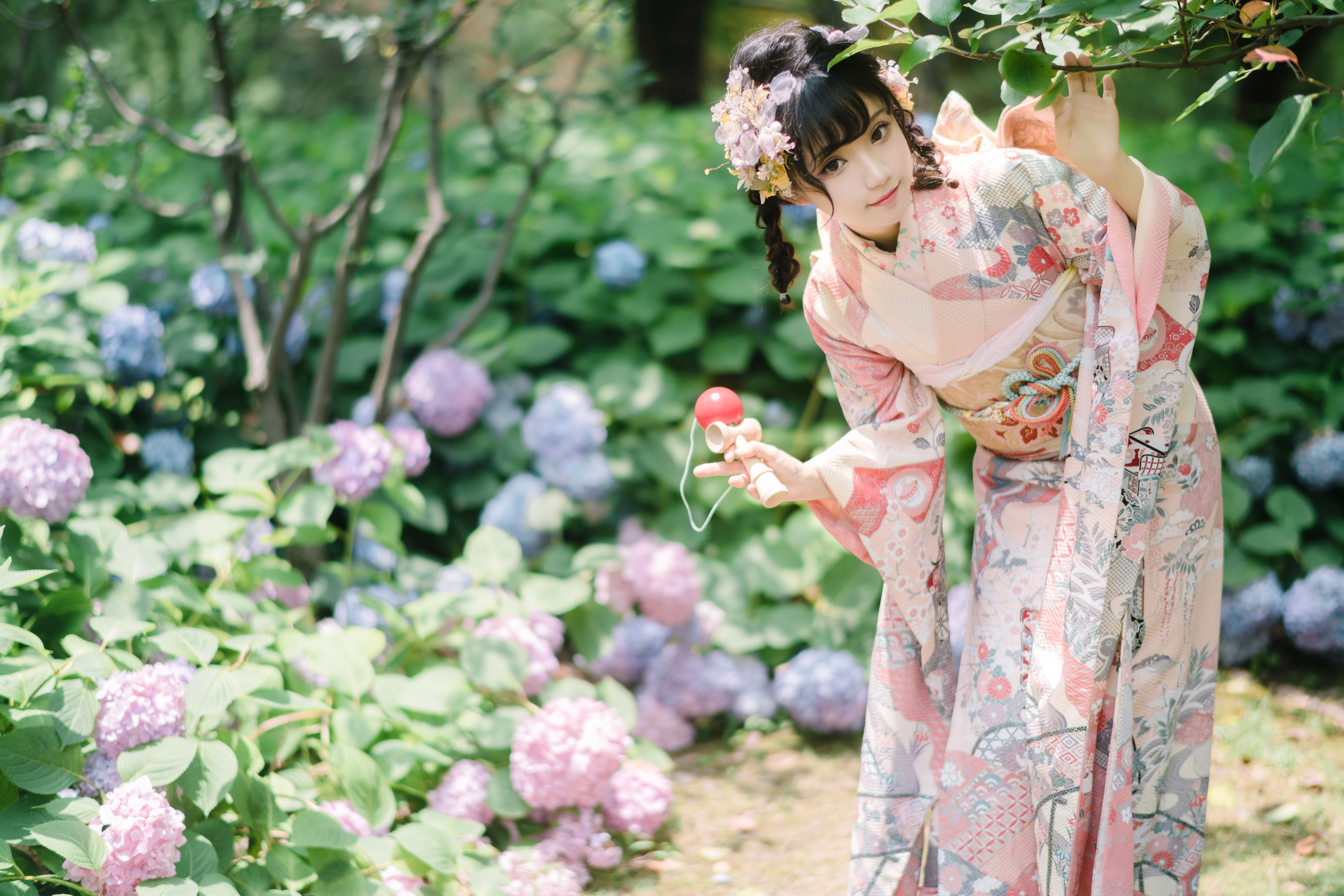 [福利COS] 花柒Hana - 绣球花和服