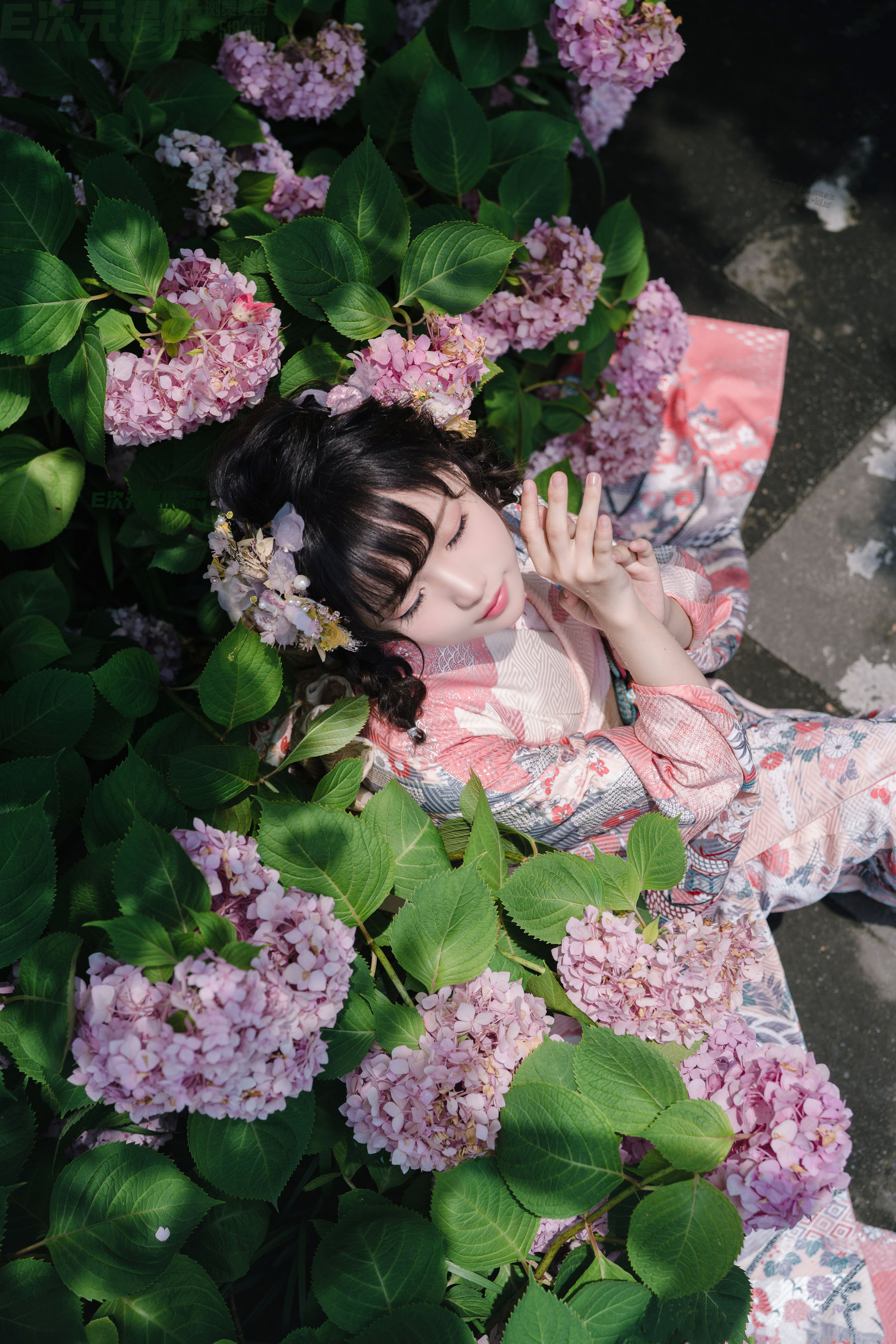 [福利COS] 花柒Hana - 绣球花和服