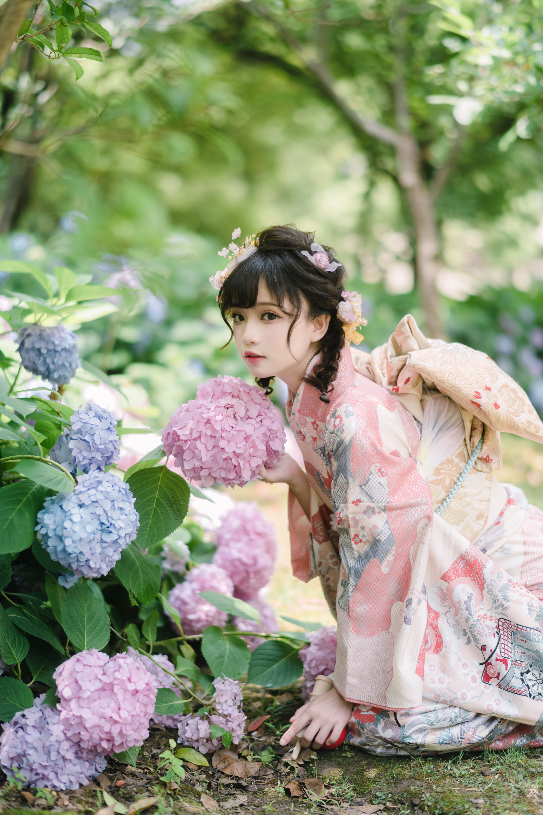 [福利COS] 花柒Hana - 绣球花和服