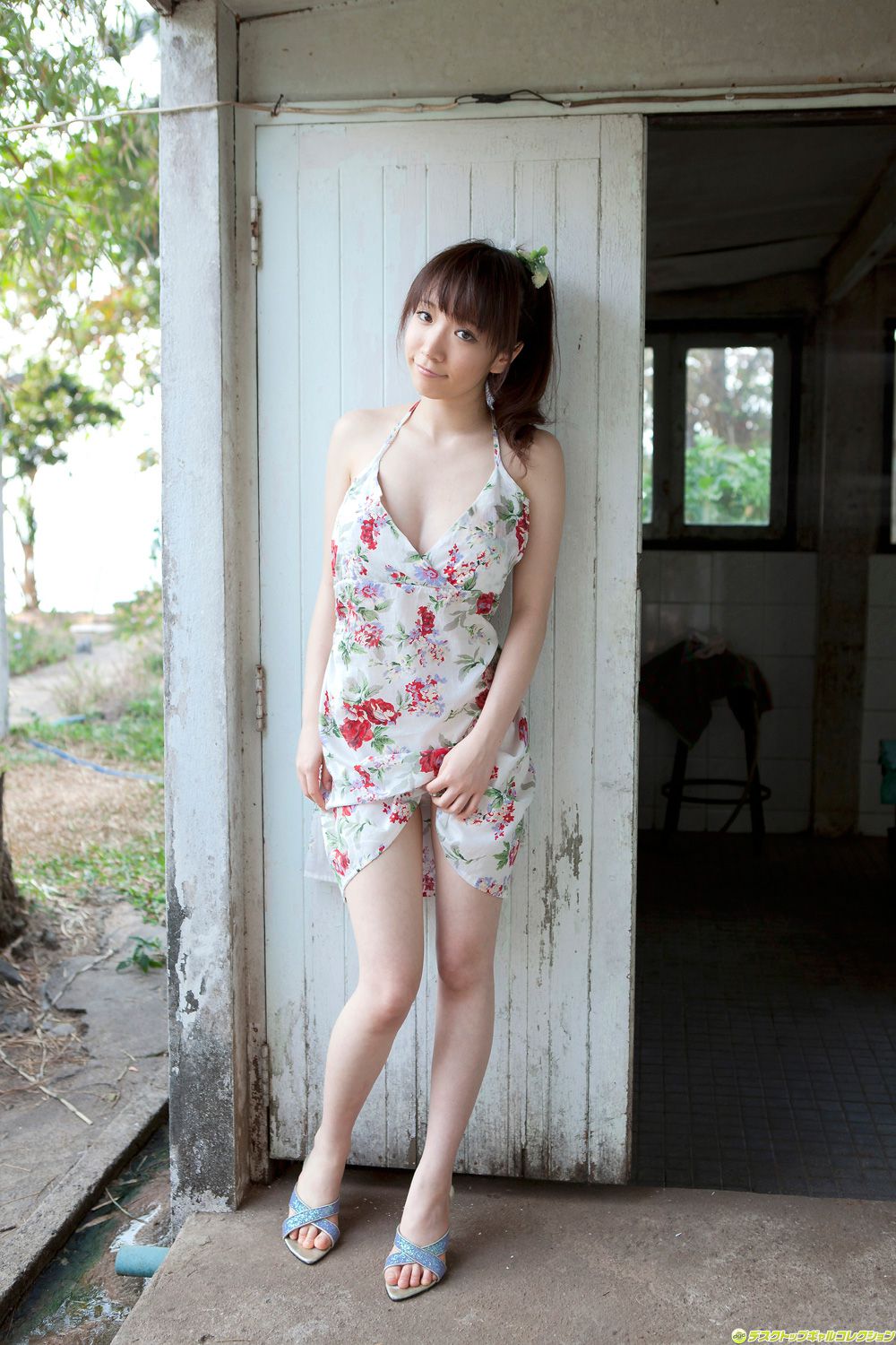 清水爱理/平山藍里《大人びた表_と大きなバストが堪りません！》 [DGC] NO.1164
