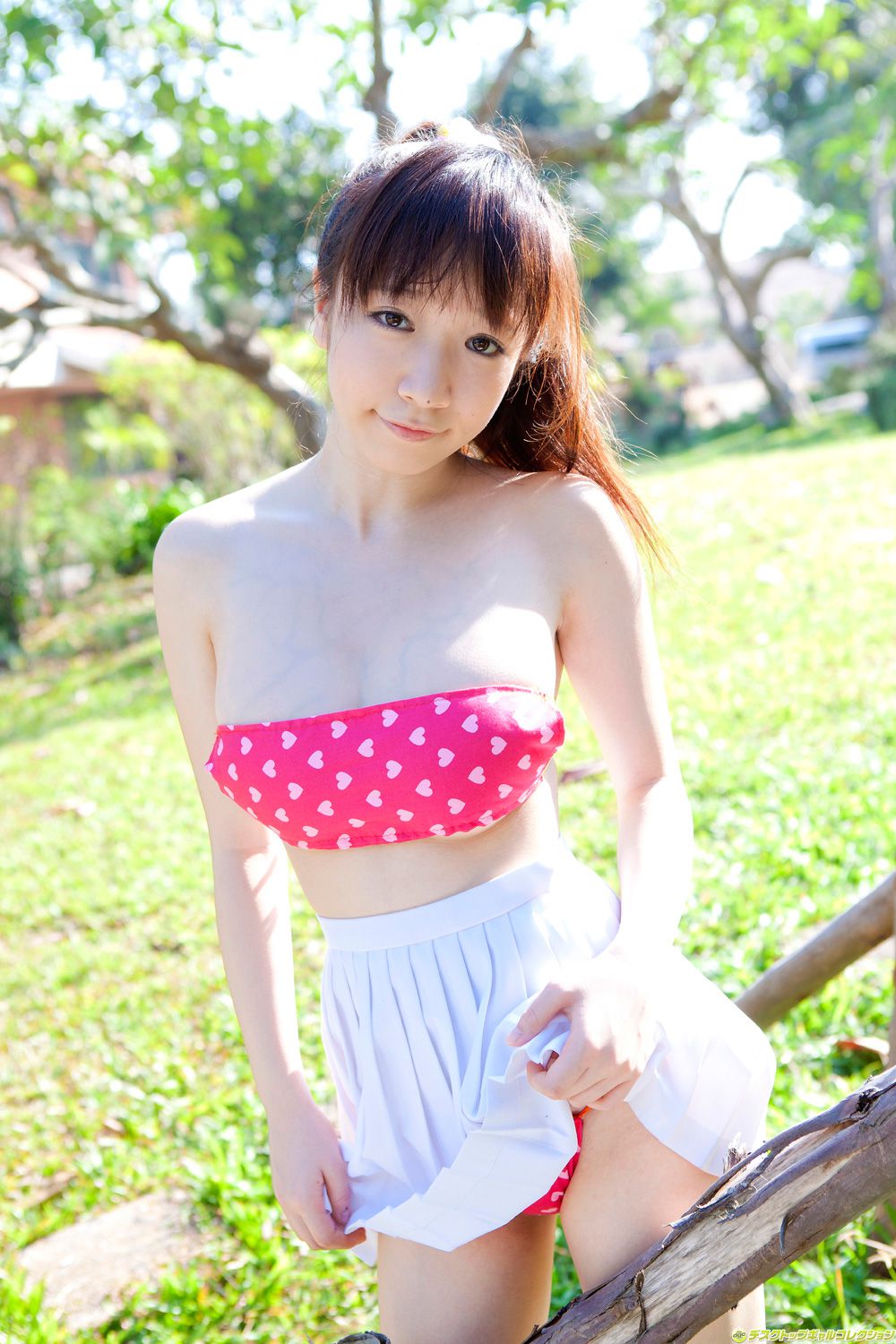 清水爱理/平山藍里《大人びた表_と大きなバストが堪りません！》 [DGC] NO.1164