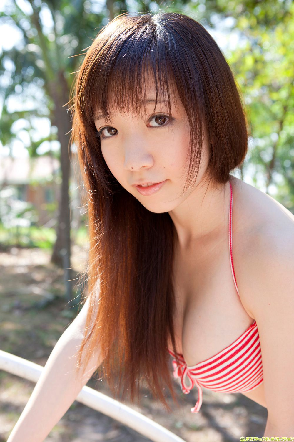 清水爱理/平山藍里《大人びた表_と大きなバストが堪りません！》 [DGC] NO.1164