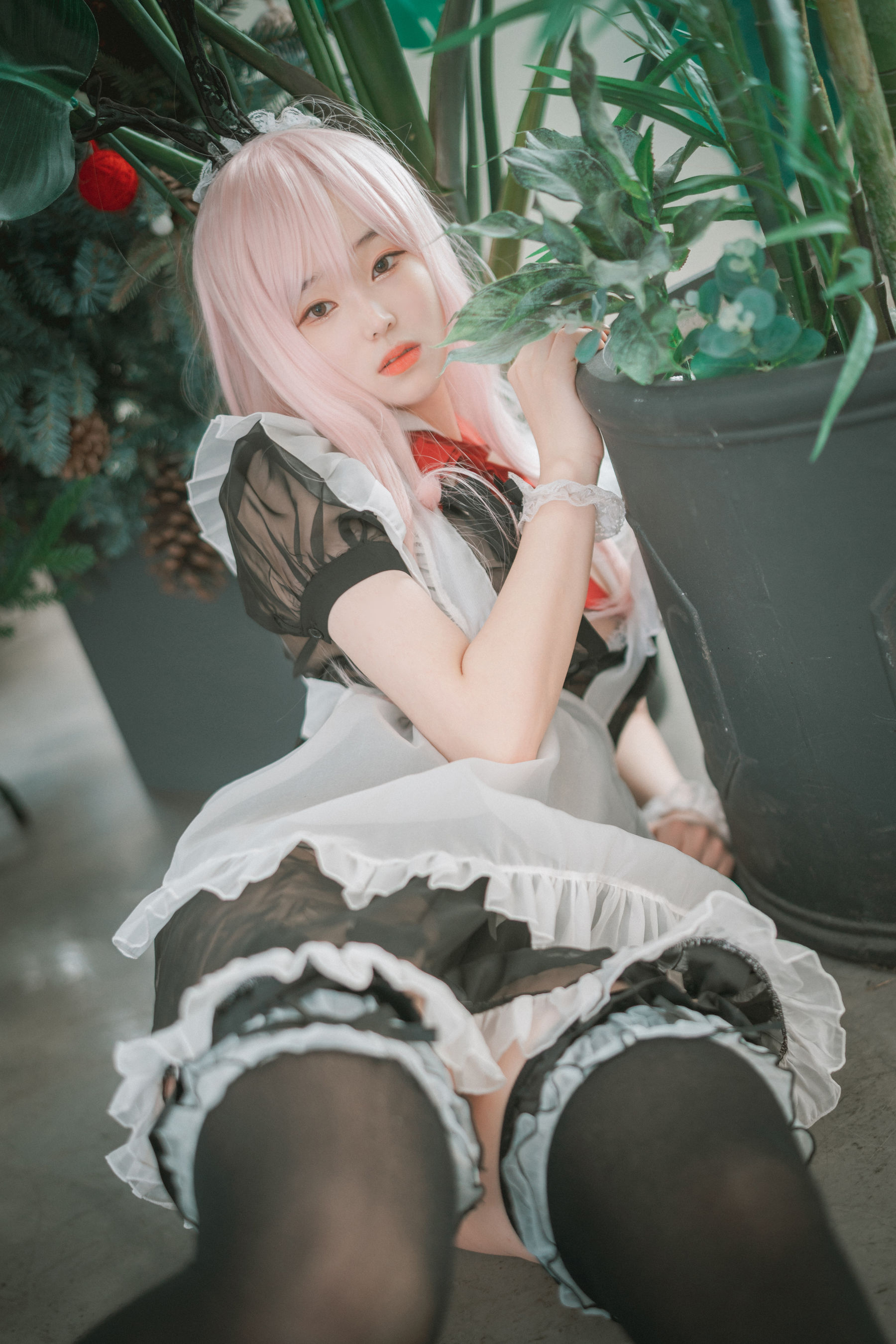 [DJAWA] Bambi - Sheer Bunny Maid
