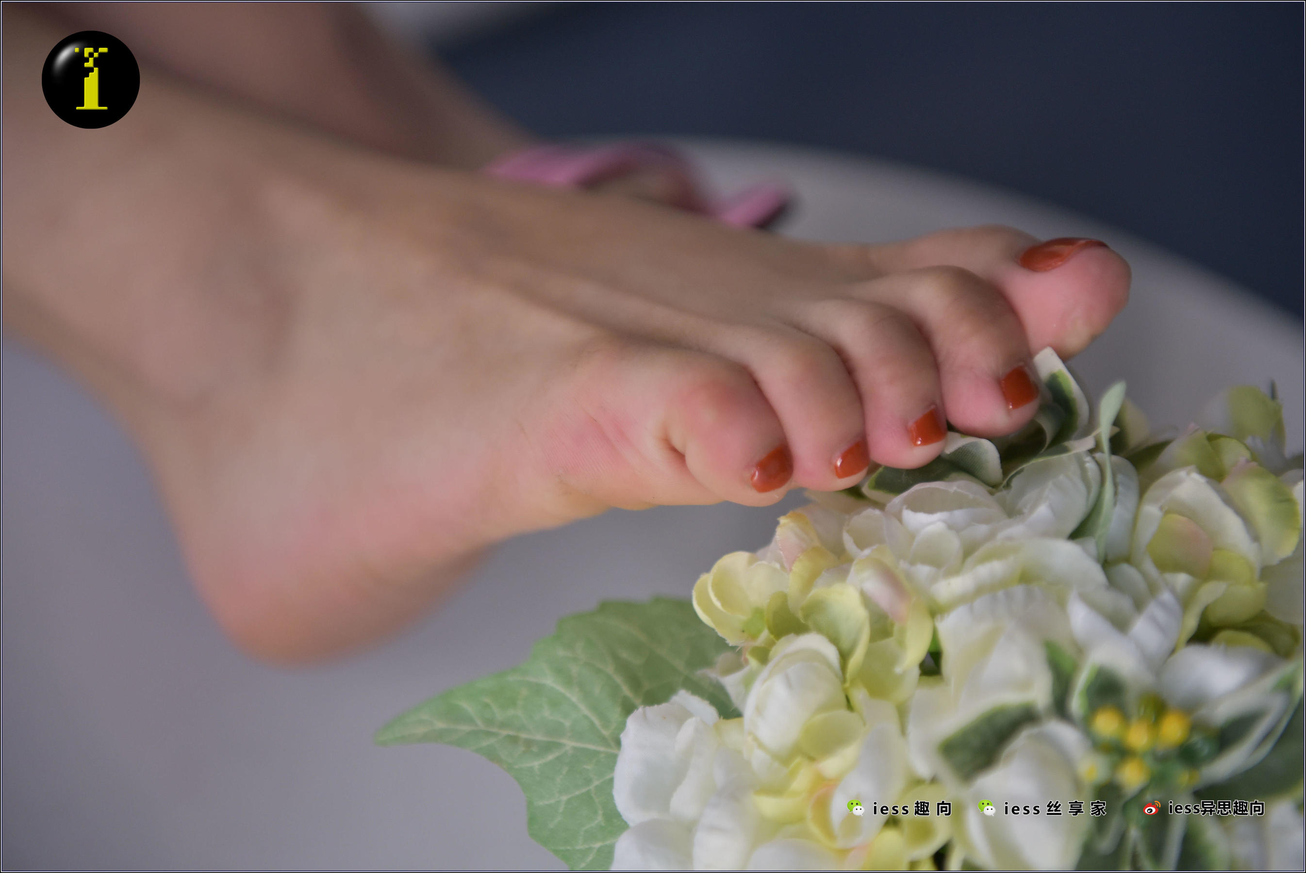[IESS普惠集] 014 模特素人表妹 《素人表妹的裸足秀特写》