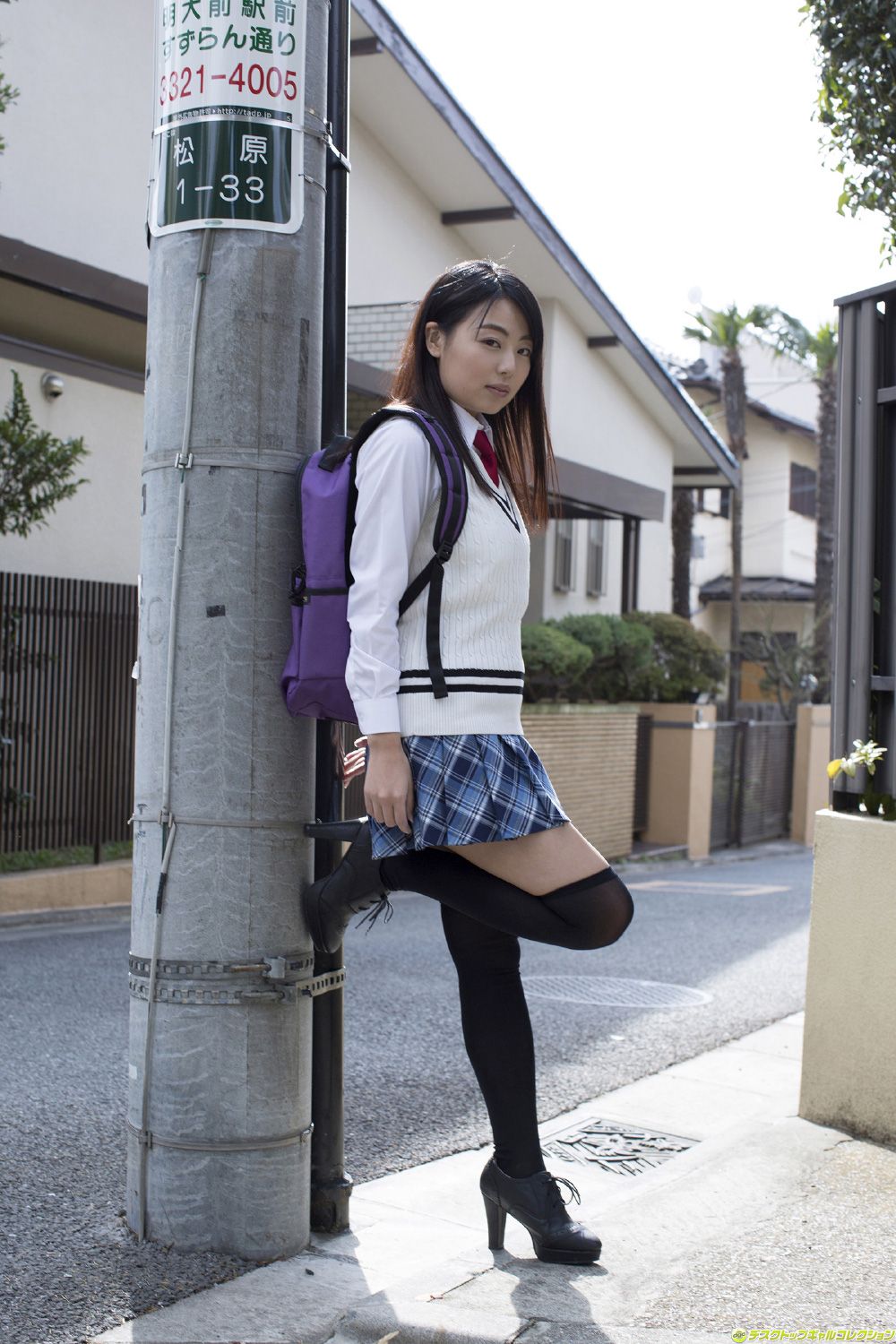 [DGC] NO.1178 Shizuka Nakakura 仲倉静香/仲仓静香