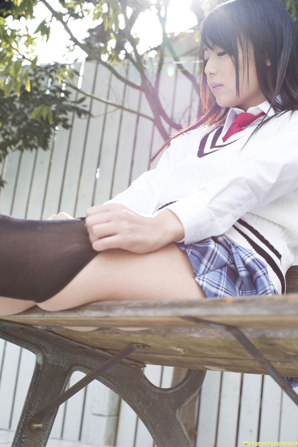 [DGC] NO.1178 Shizuka Nakakura 仲倉静香/仲仓静香