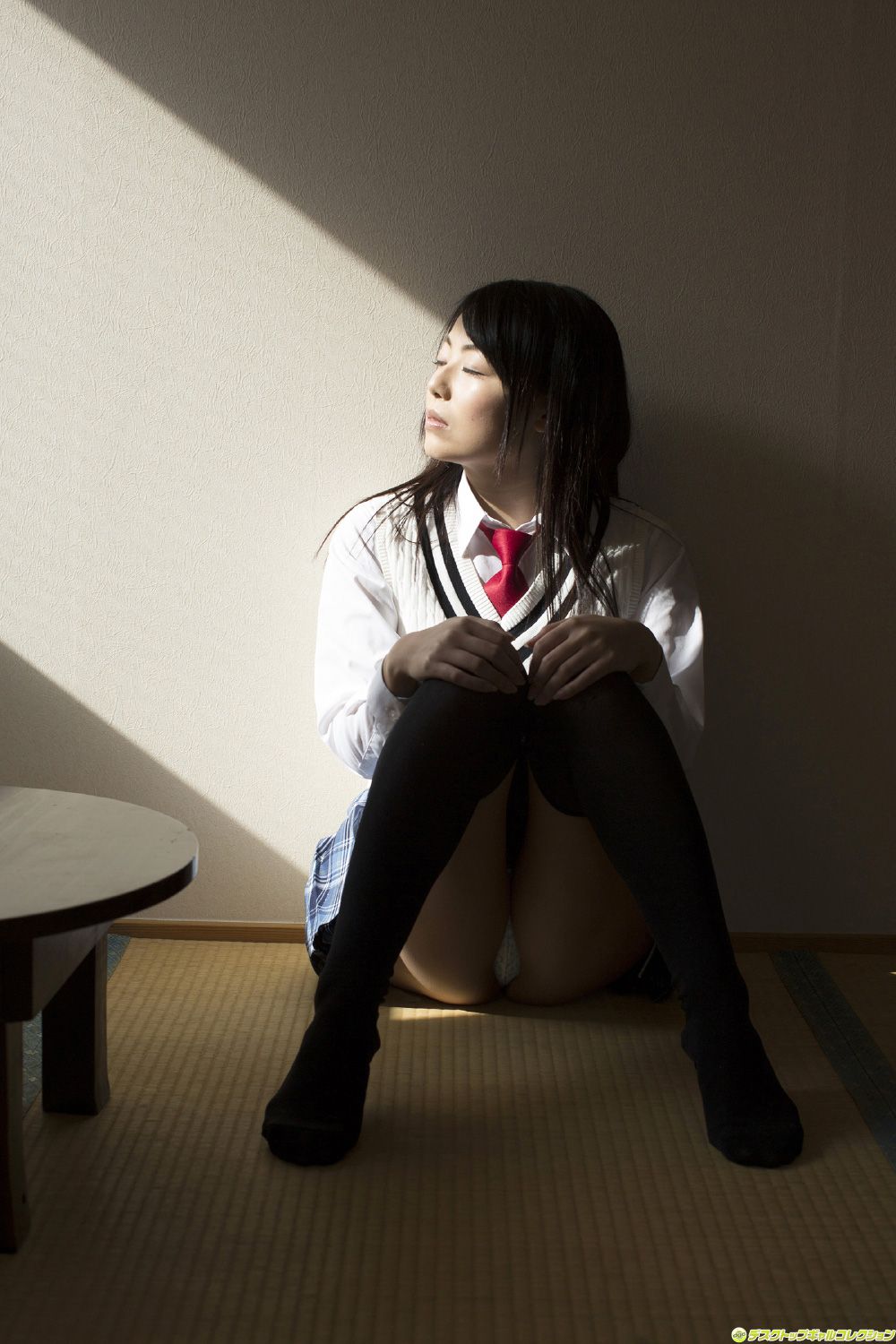 [DGC] NO.1178 Shizuka Nakakura 仲倉静香/仲仓静香