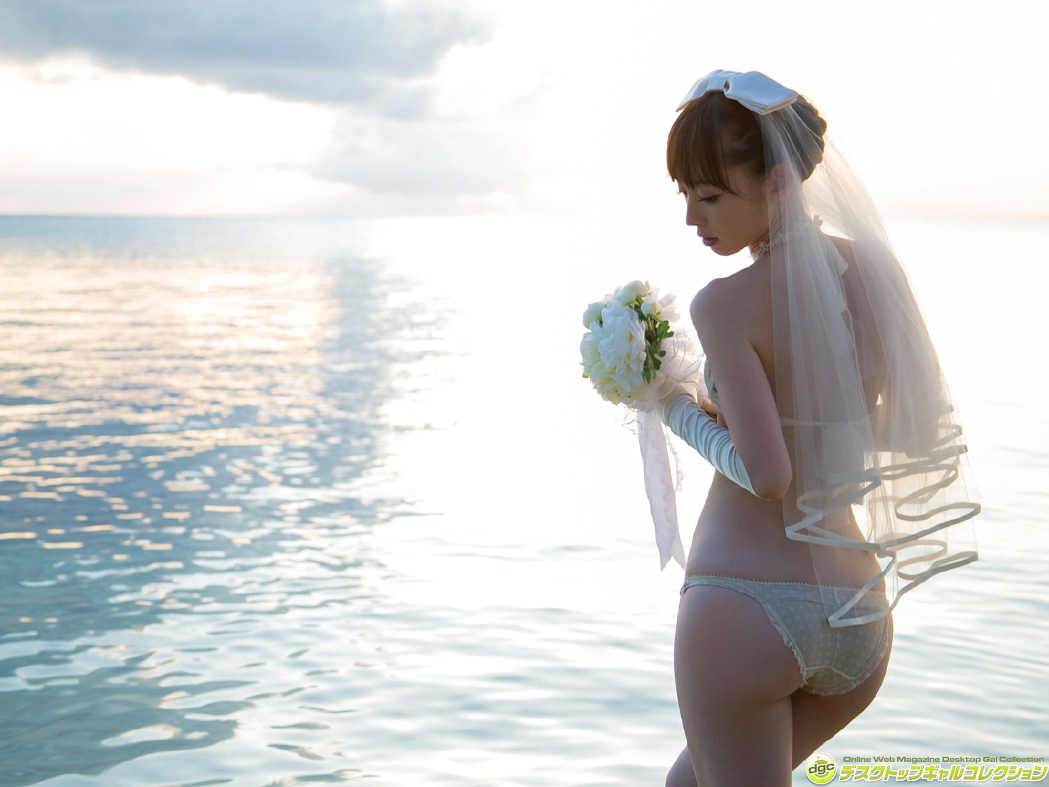 秋山莉奈《グラビア界最強の美尻を持つ‘オシリーナ！》 [DGC] NO.1286