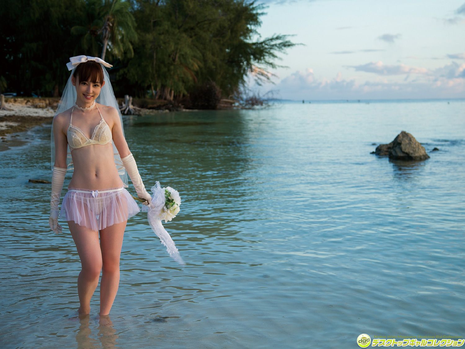 秋山莉奈《グラビア界最強の美尻を持つ‘オシリーナ！》 [DGC] NO.1286