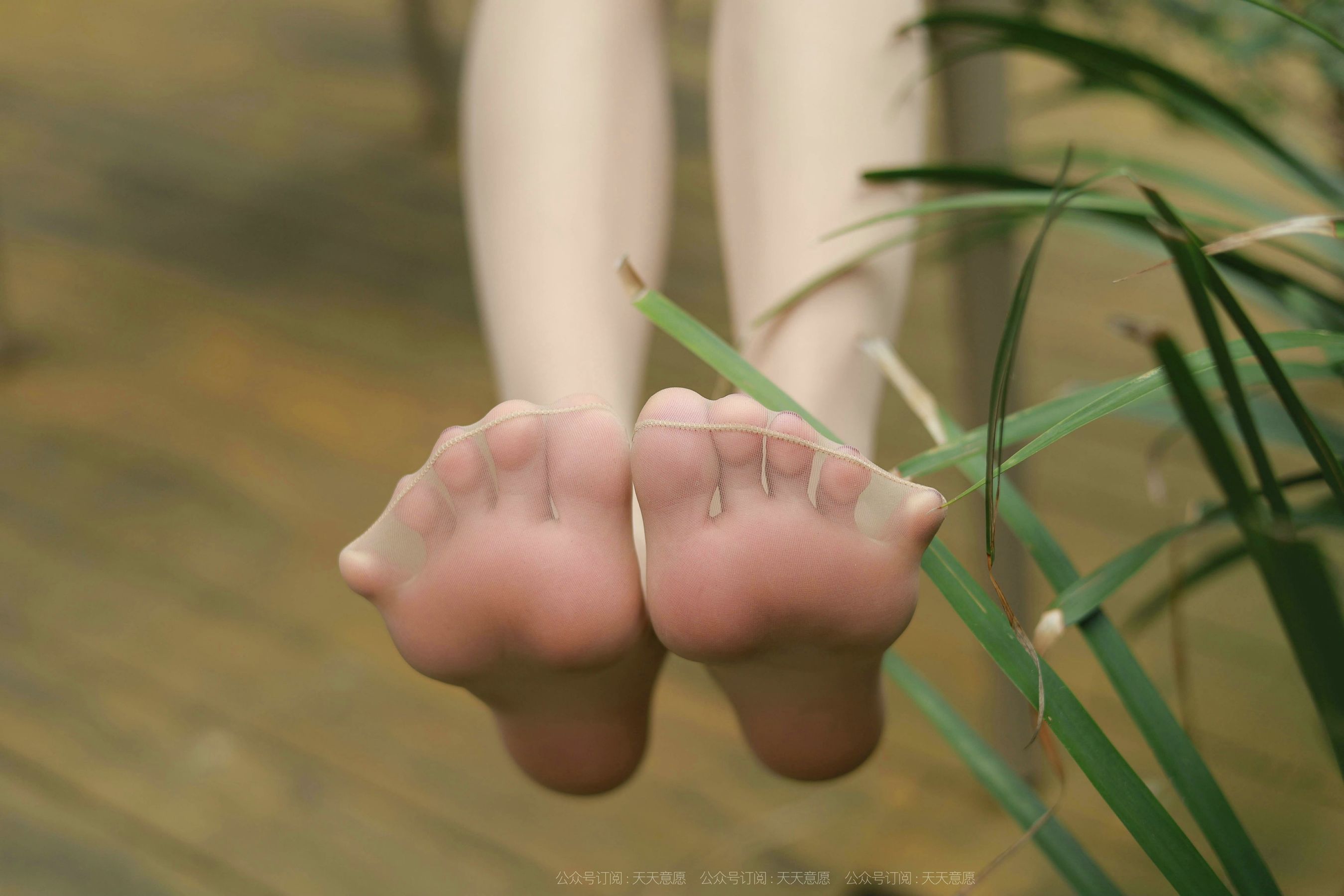 [IESS异思趣向]  模特：小六《带你去散步》